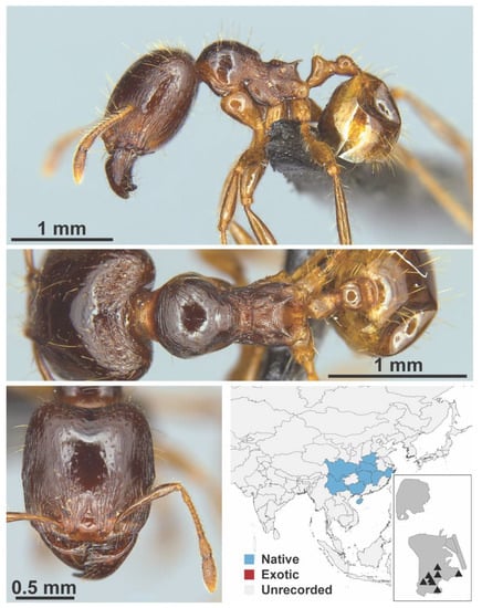 Diversity 13 00358 g0a64