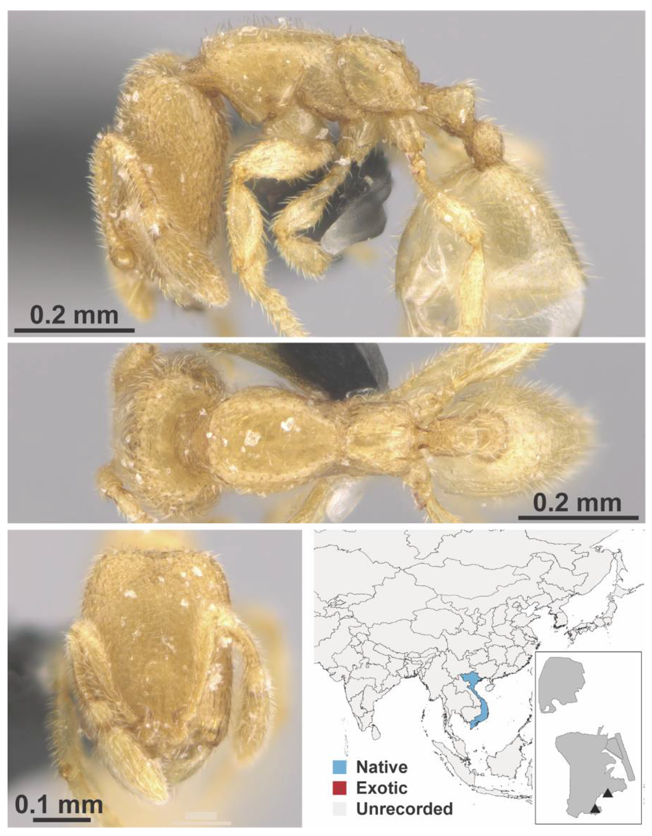 Diversity 13 00358 g0a65