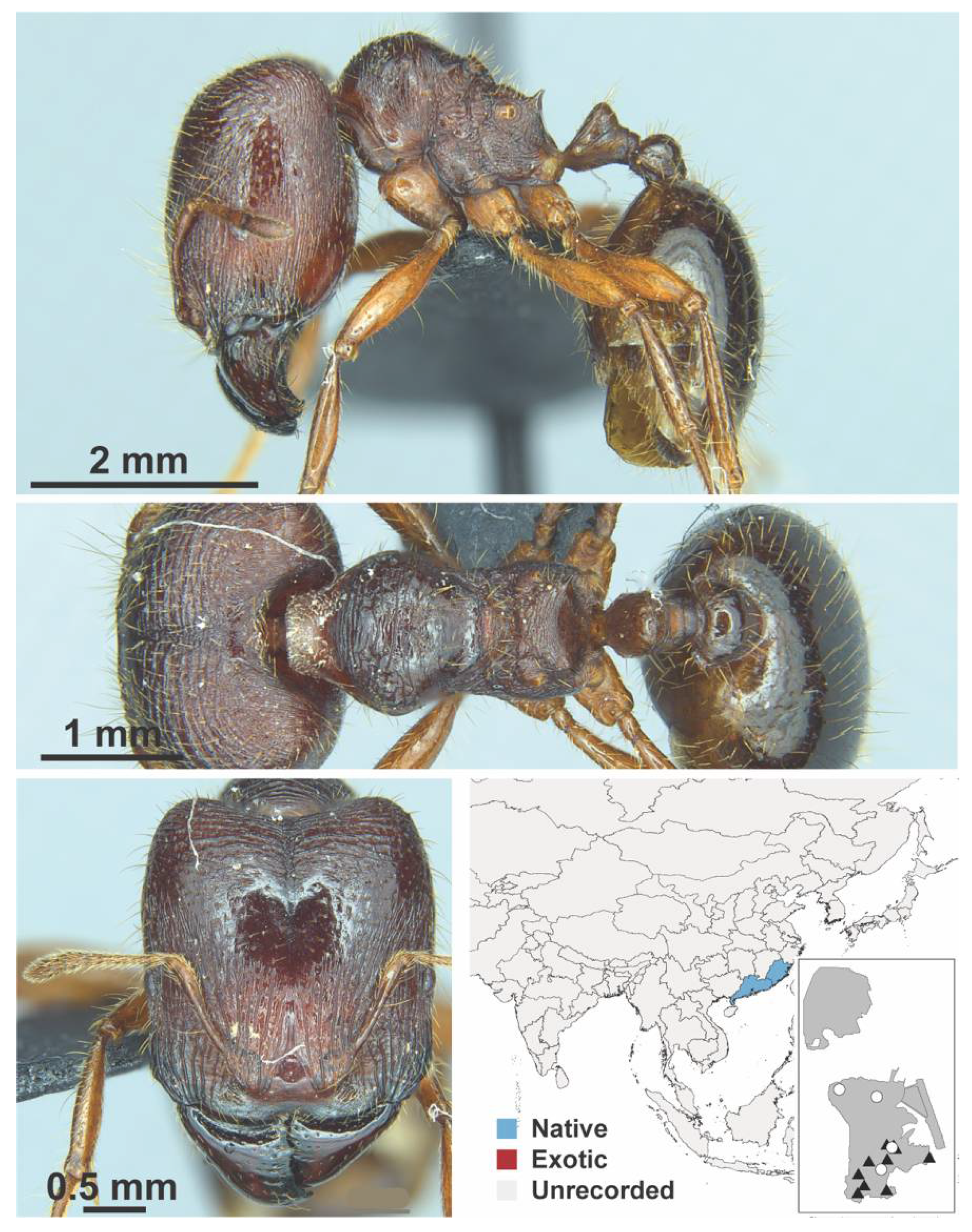 Diversity 13 00358 g0a67