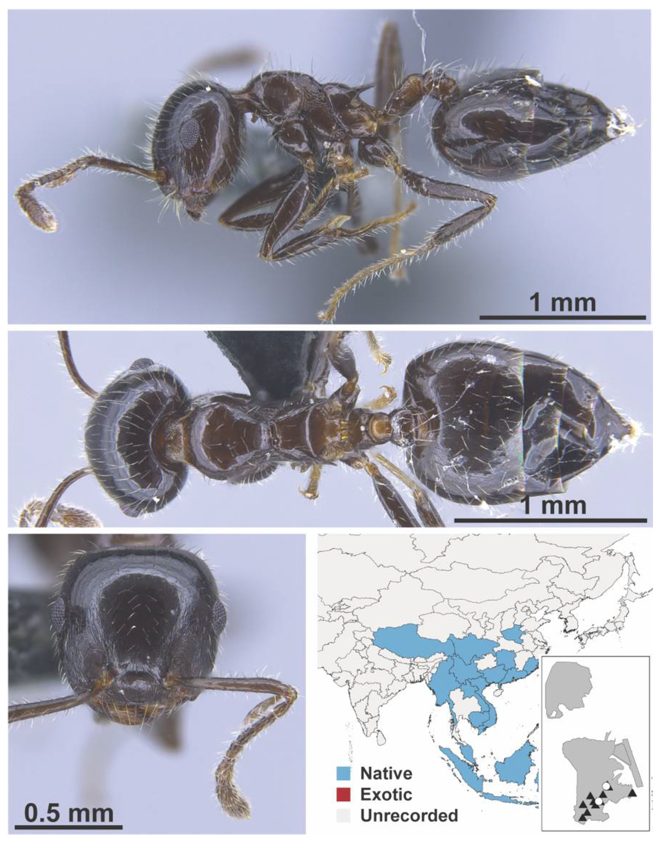 Diversity 13 00358 g0a69