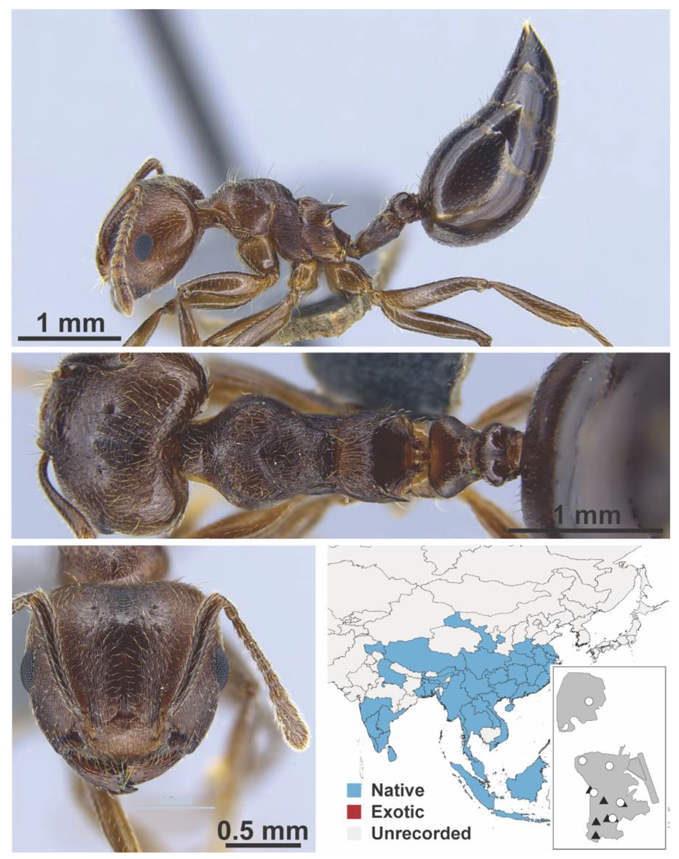 Diversity 13 00358 g0a72