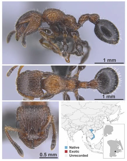 Diversity 13 00358 g0a73