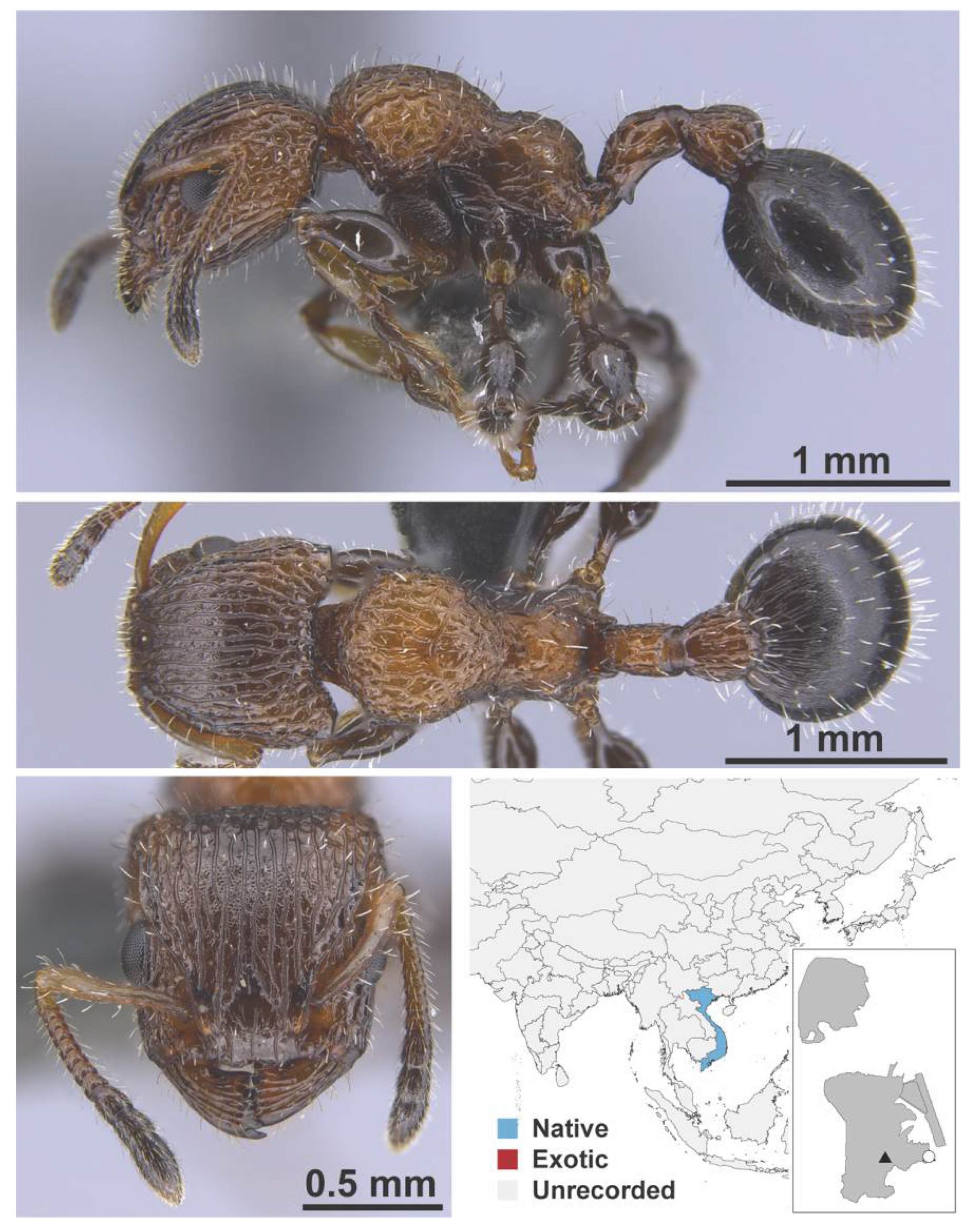 Diversity 13 00358 g0a73