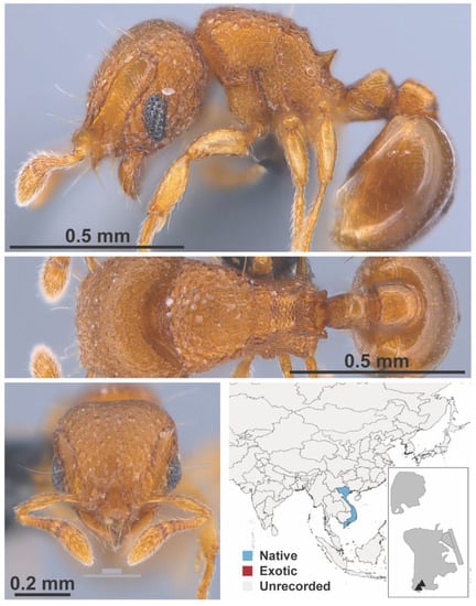 Diversity 13 00358 g0a74