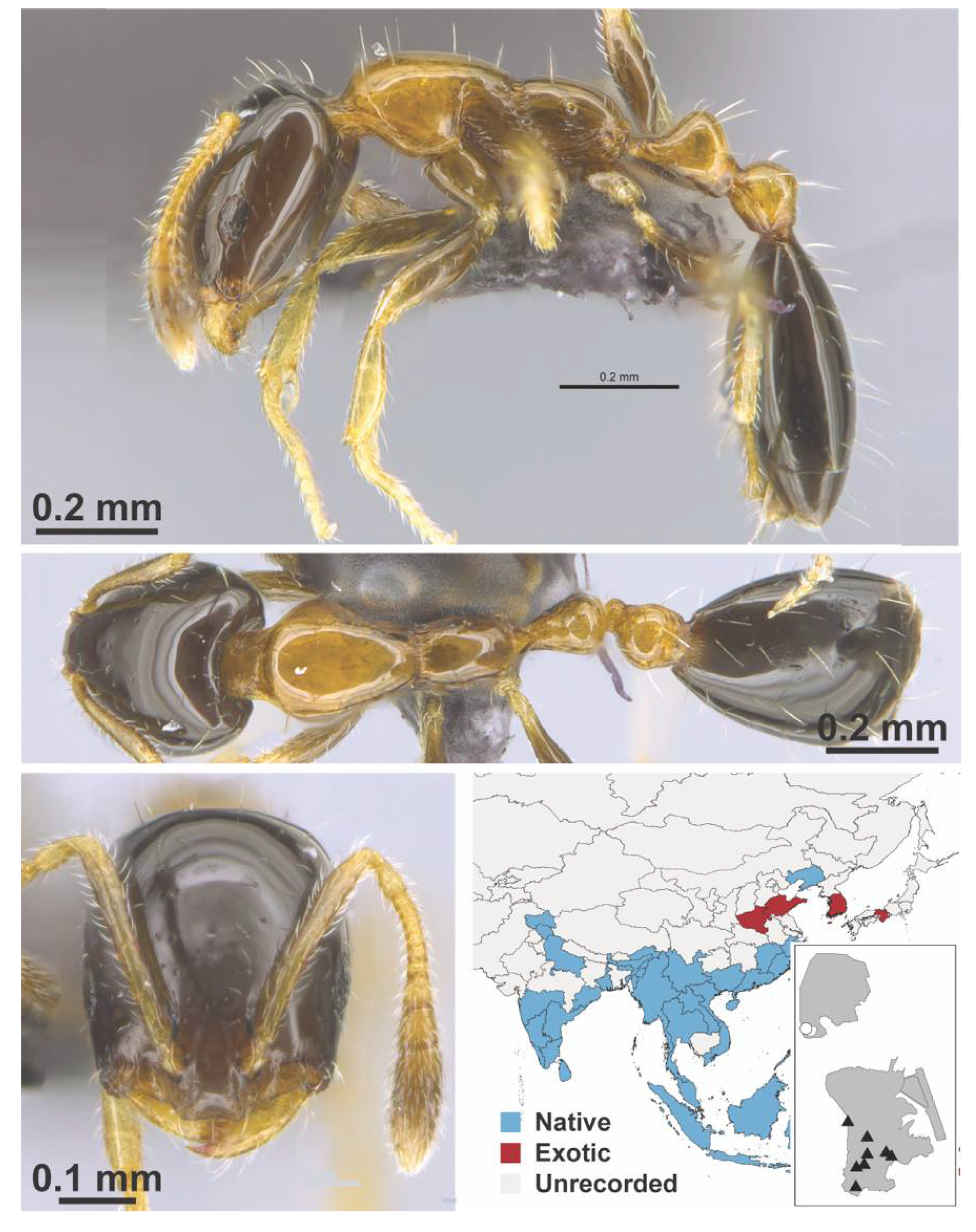 Diversity 13 00358 g0a77