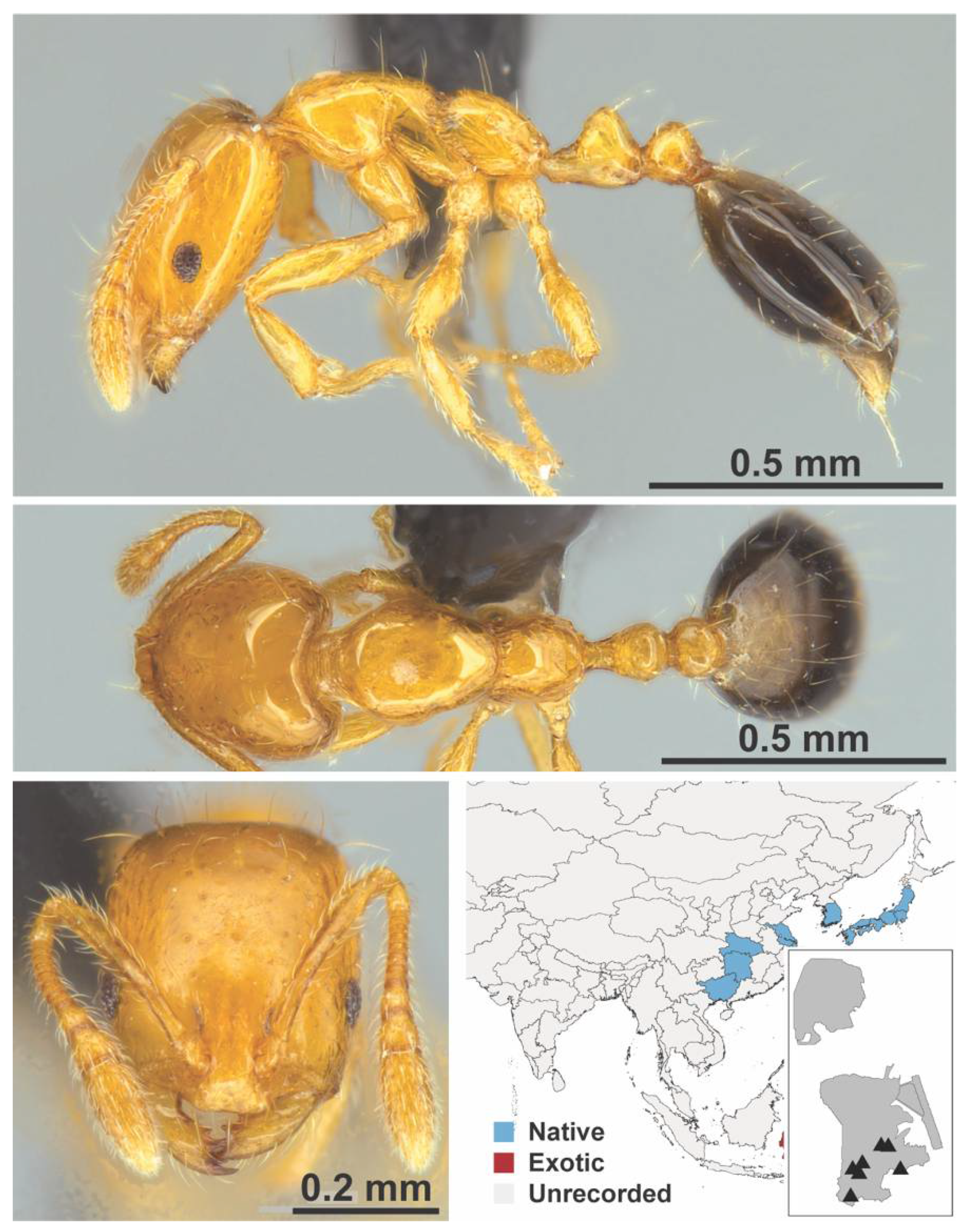 Diversity 13 00358 g0a78