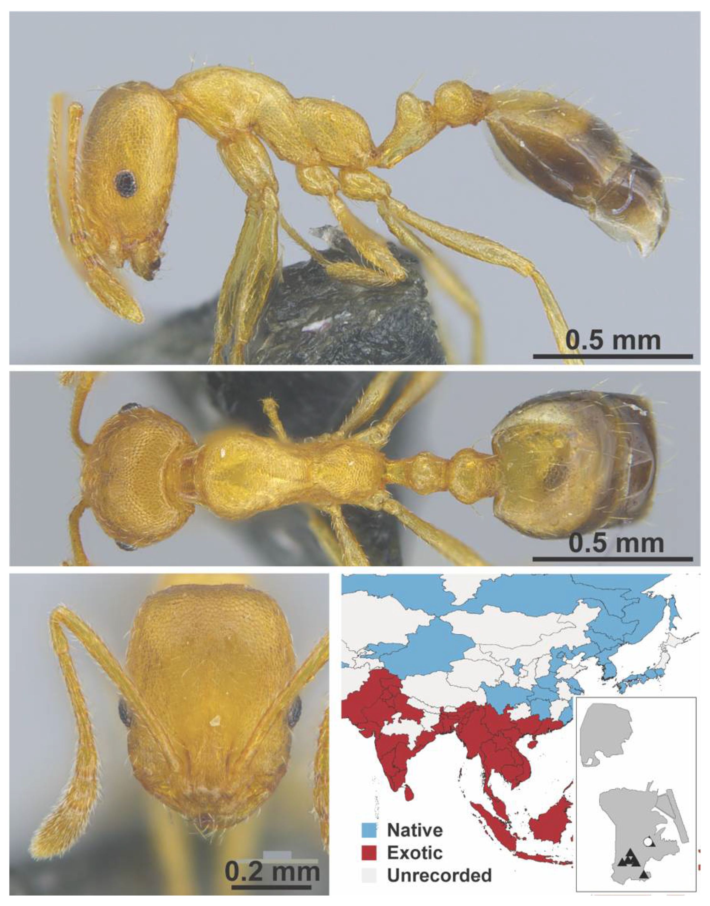 Diversity 13 00358 g0a79