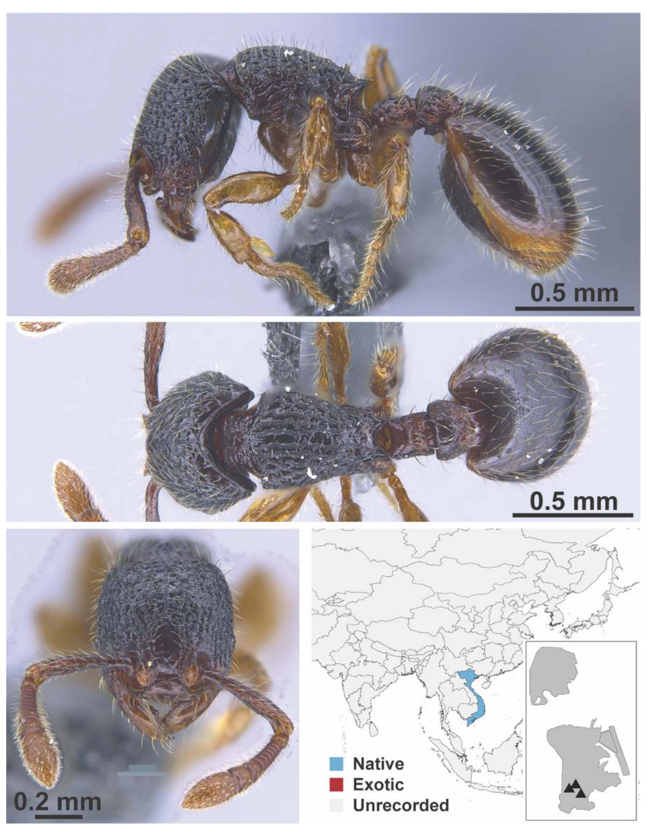 Diversity 13 00358 g0a81