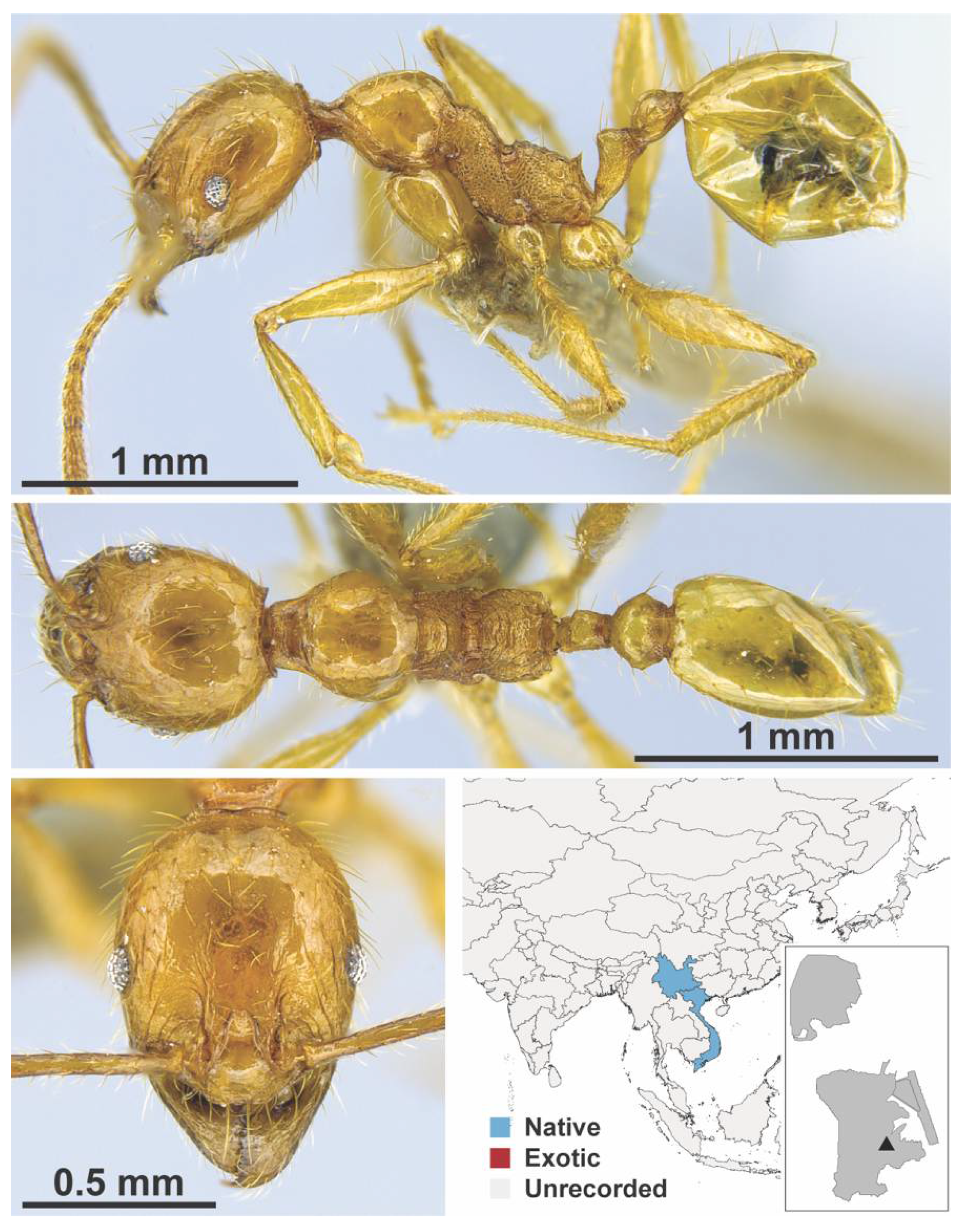 Diversity 13 00358 g0a83