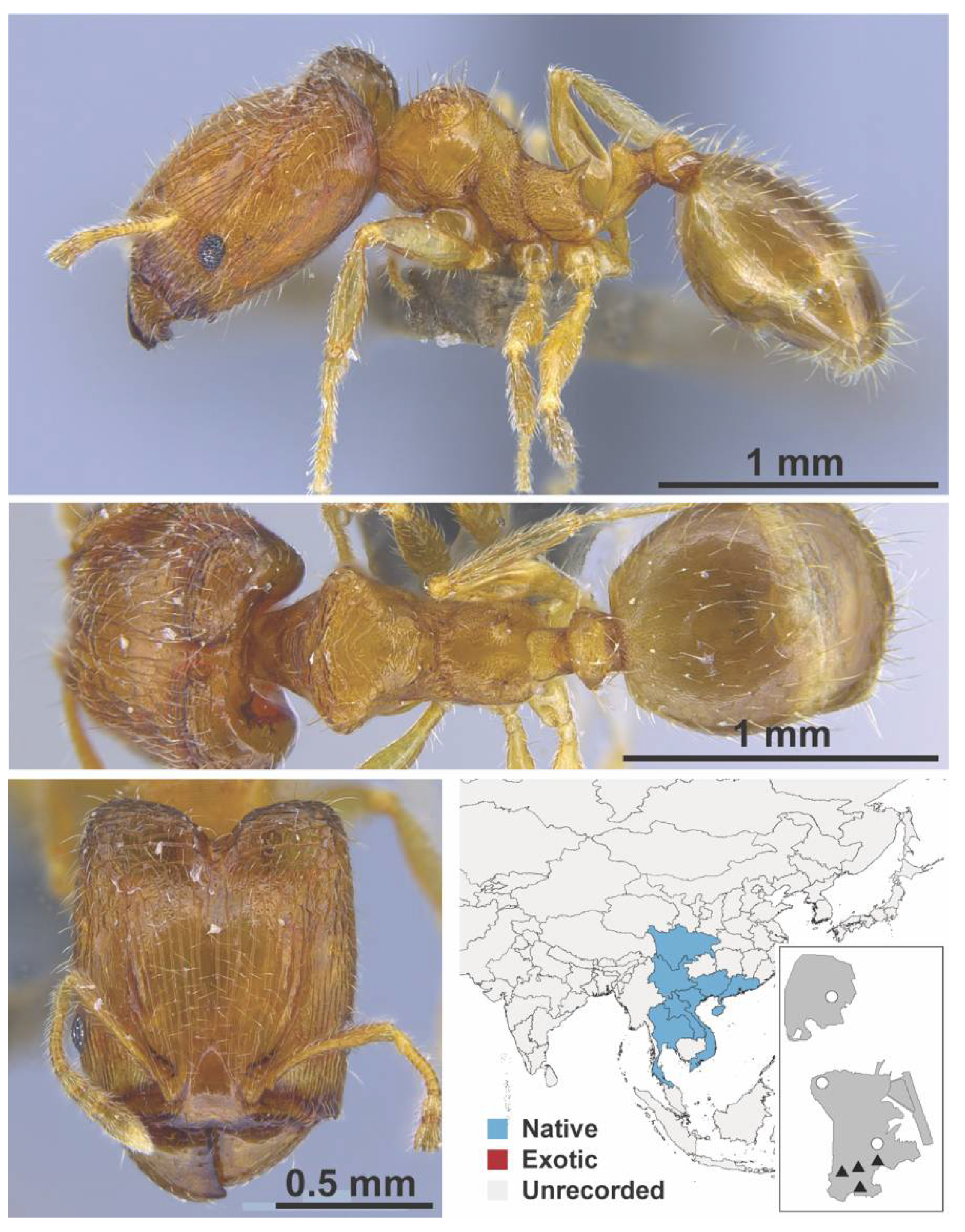 Diversity 13 00358 g0a87
