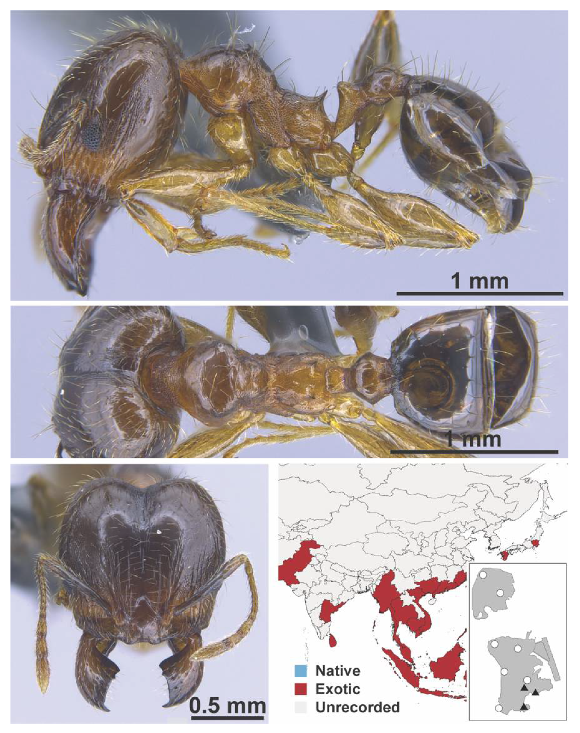 Diversity 13 00358 g0a89