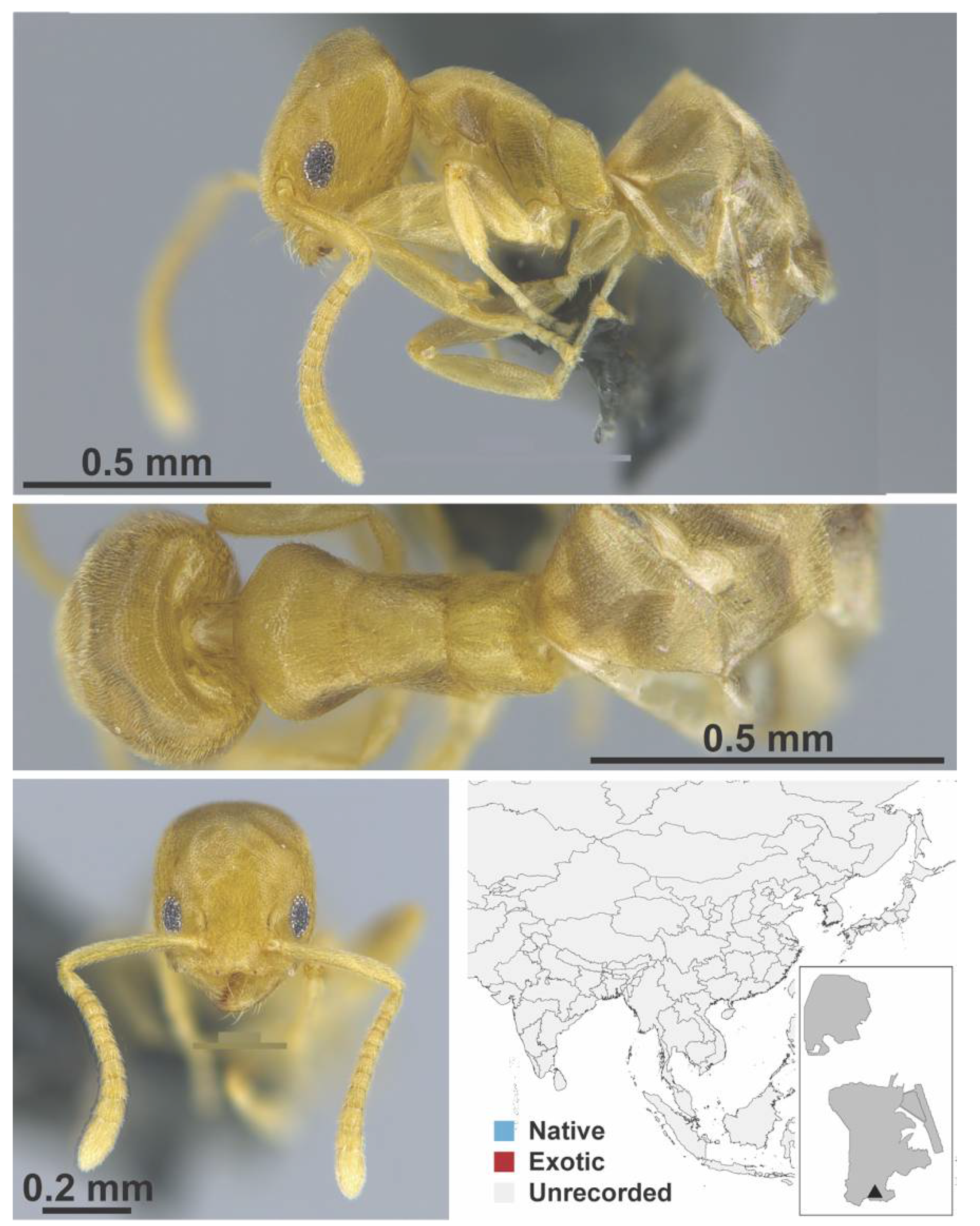 Diversity 13 00358 g0a9
