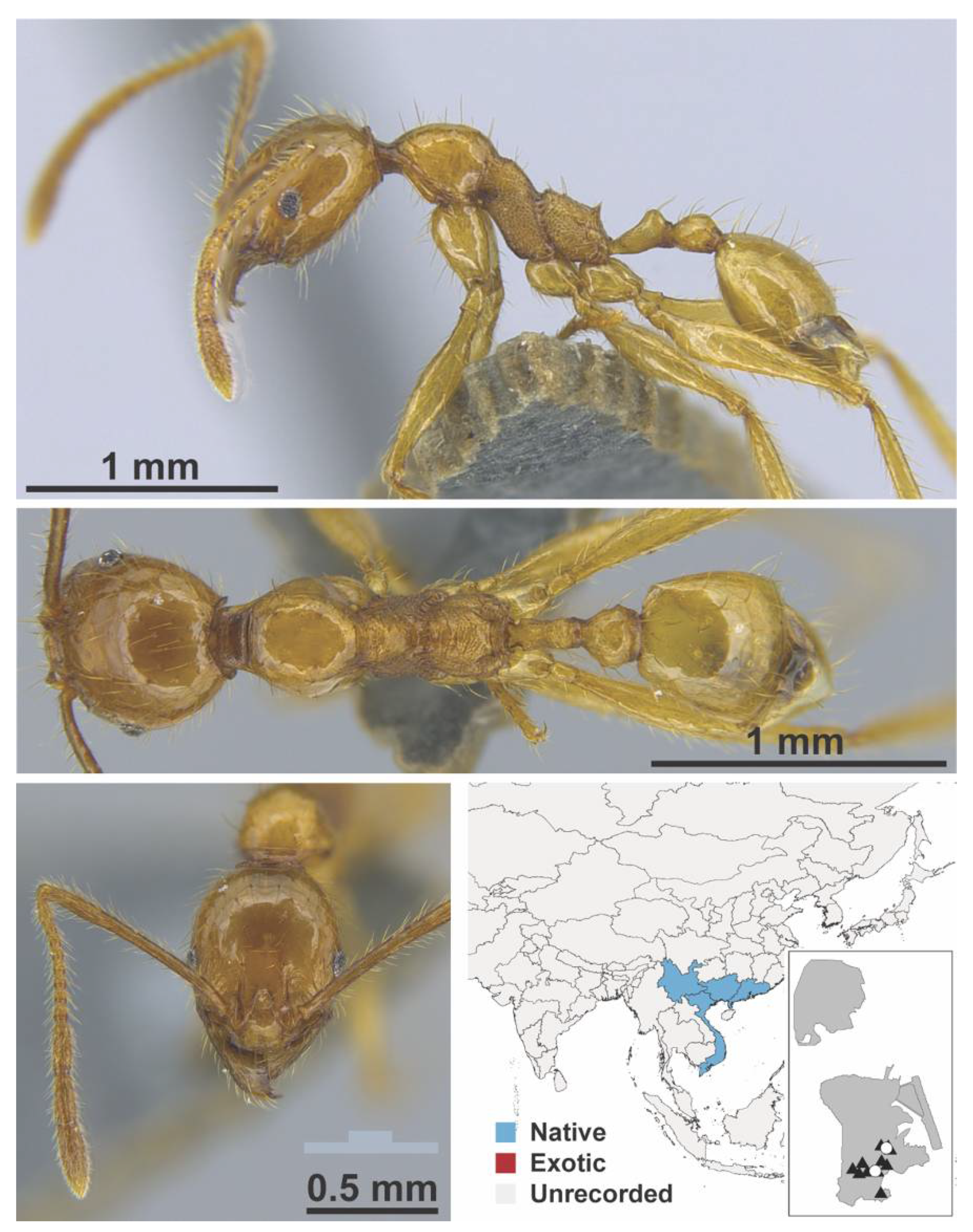 Diversity 13 00358 g0a91