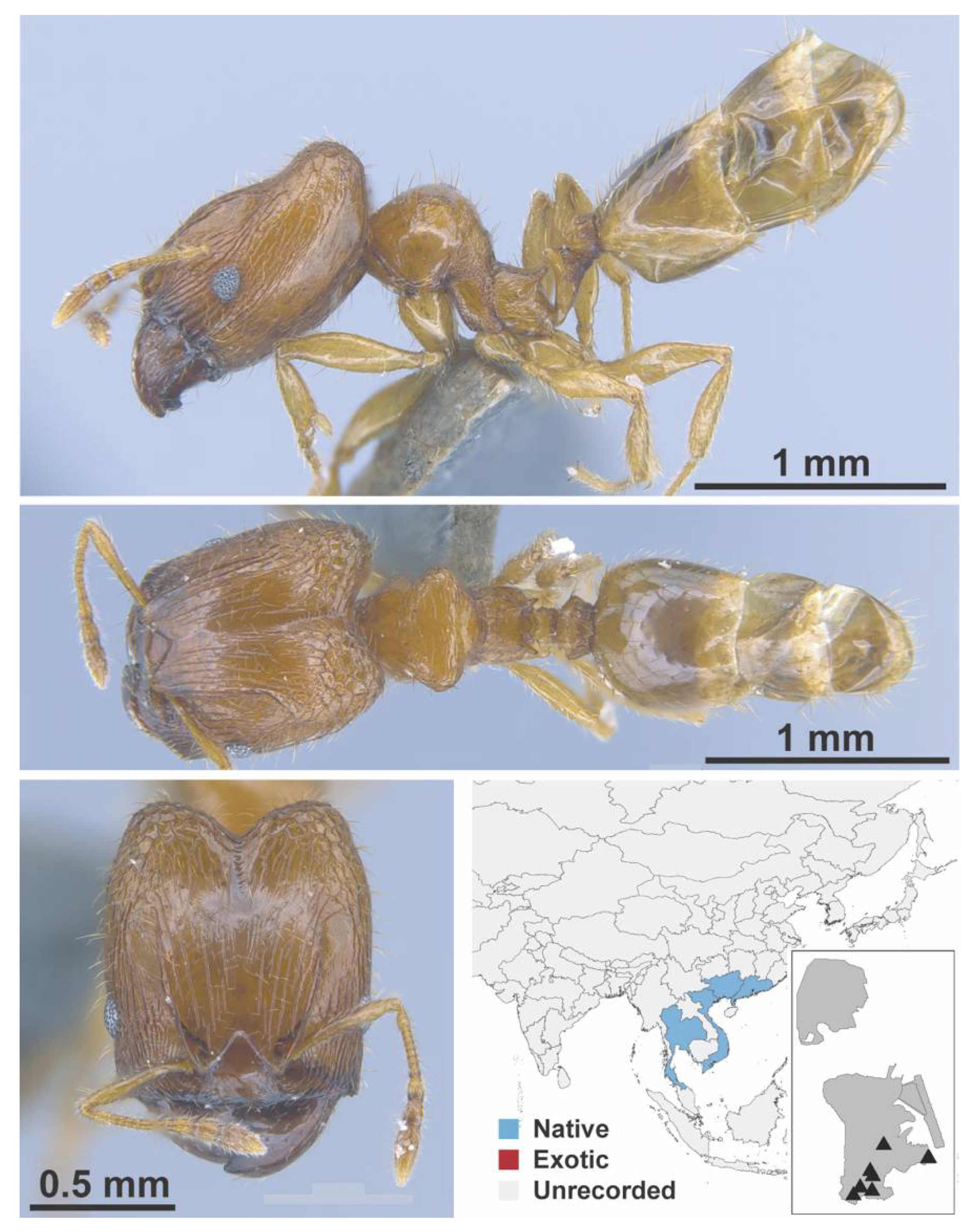 Diversity 13 00358 g0a98