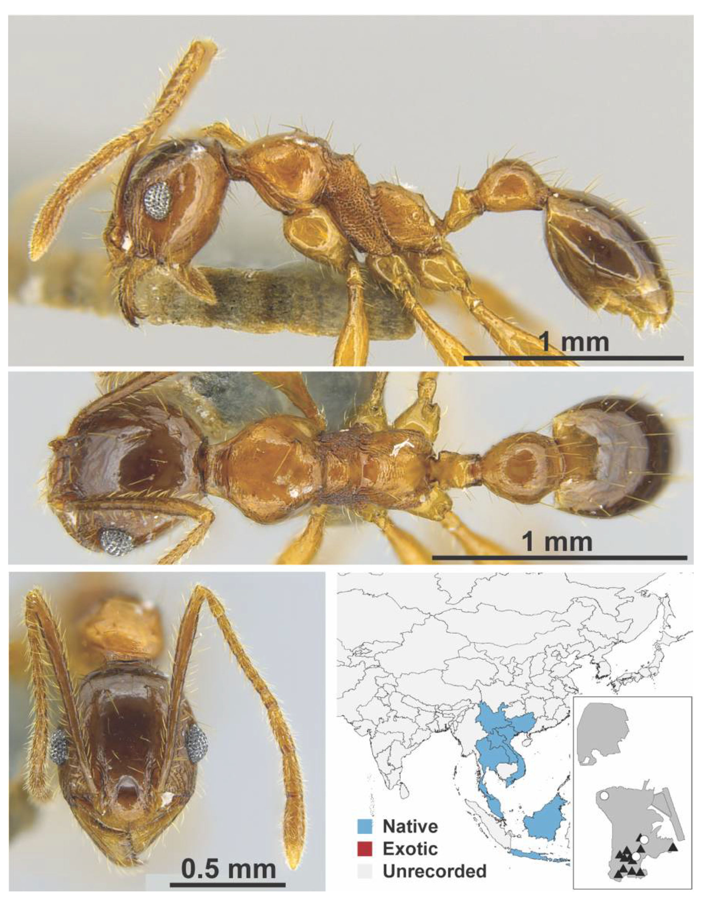 Diversity 13 00358 g0a99