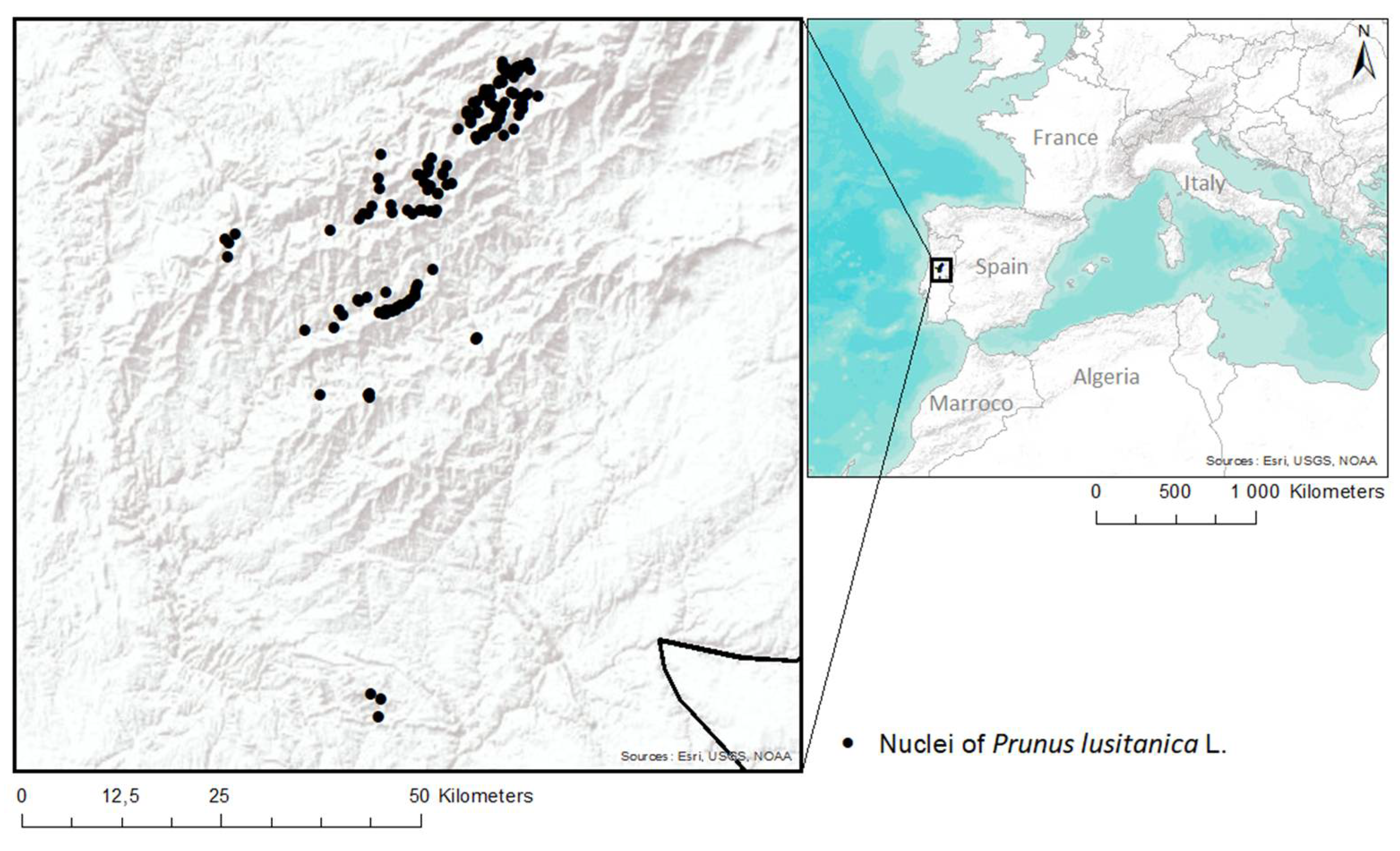 Diversity 13 00359 g002