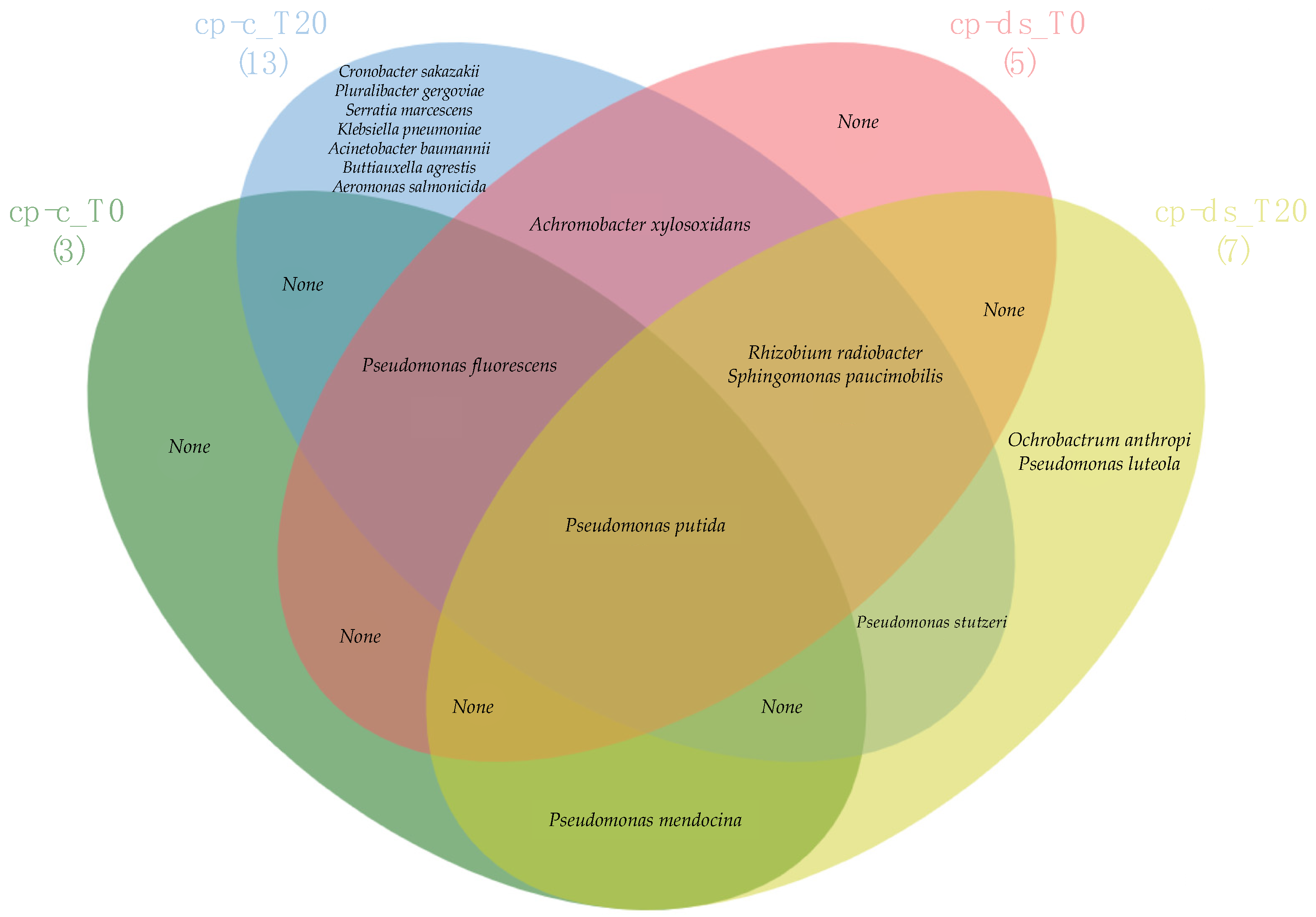 Diversity 13 00366 g002