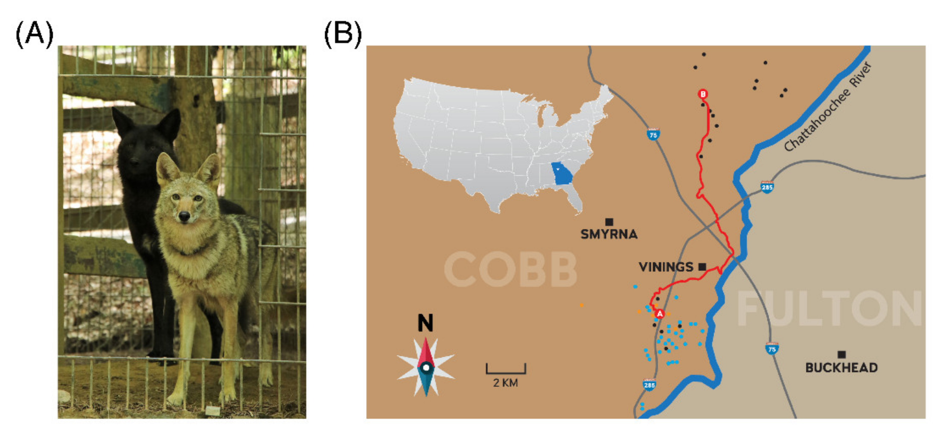 Diversity 13 00372 g001 Diversity 13 00372 g001