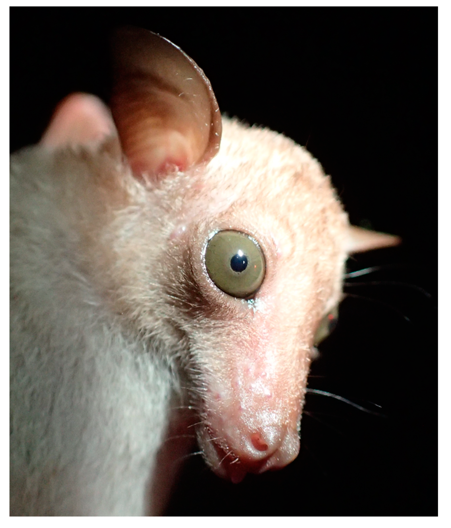 Diversity 13 00376 g003