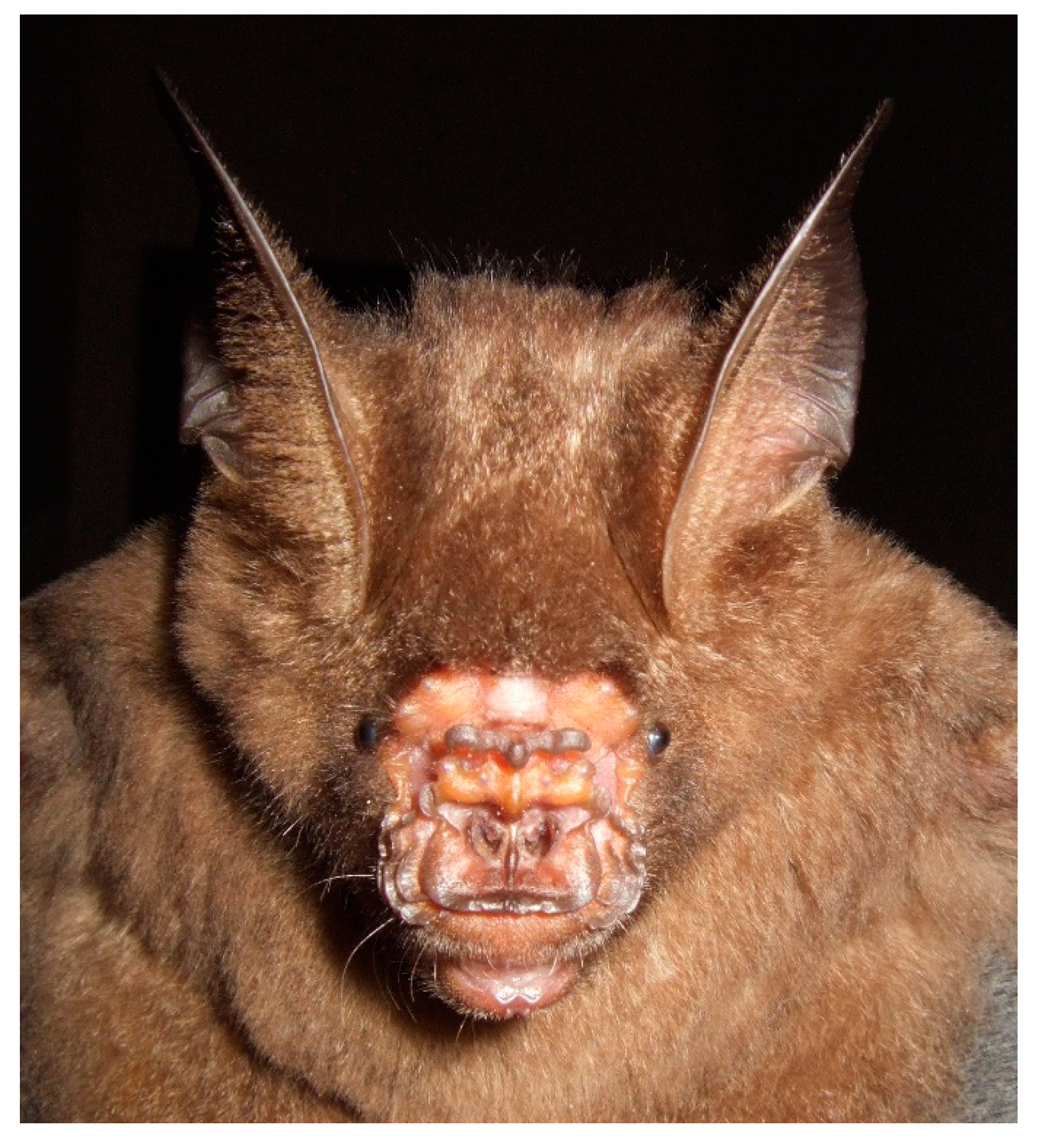 Diversity 13 00376 g012