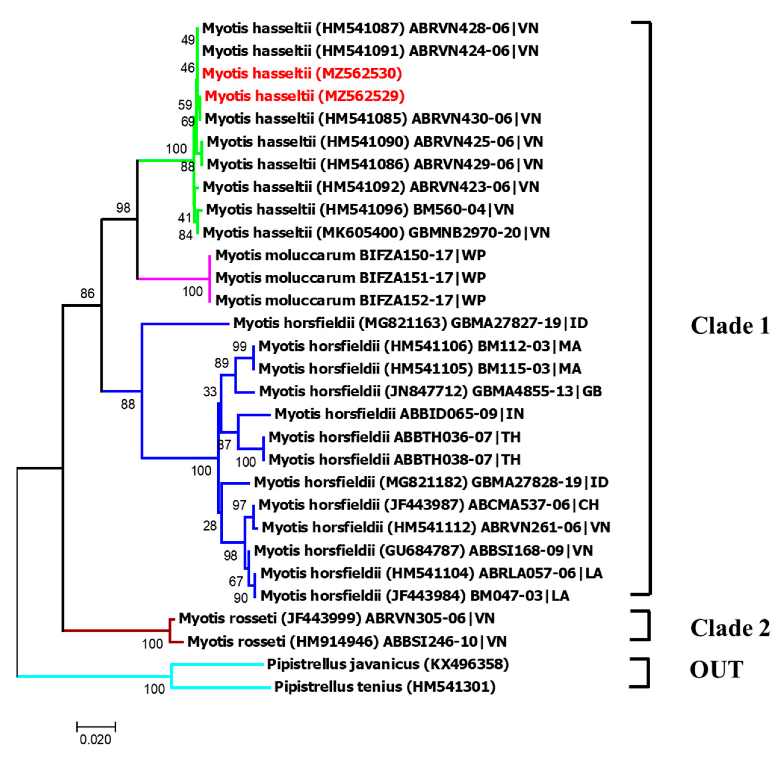 Diversity 13 00376 g019