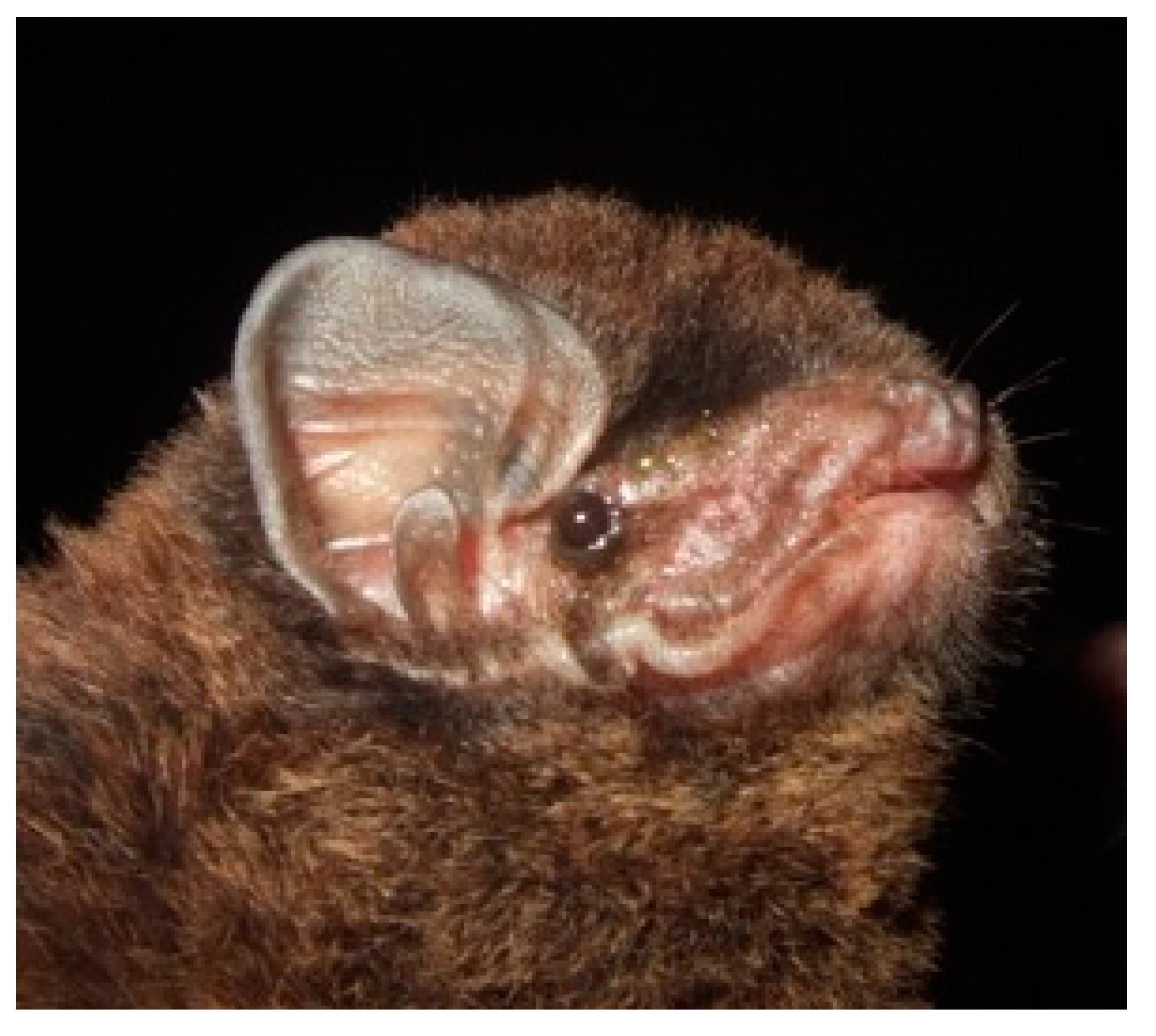 Diversity 13 00376 g025