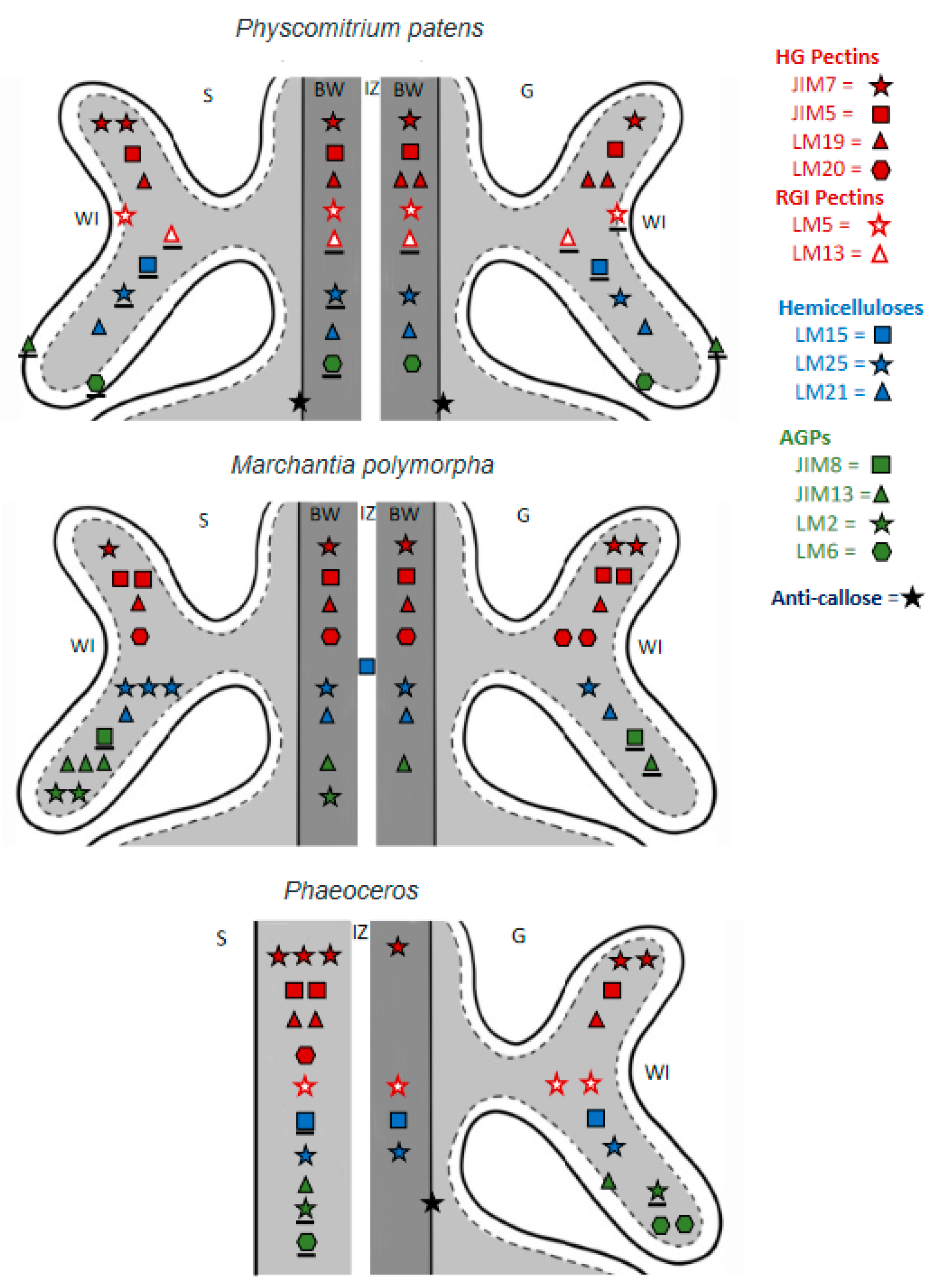 Diversity 13 00378 g006