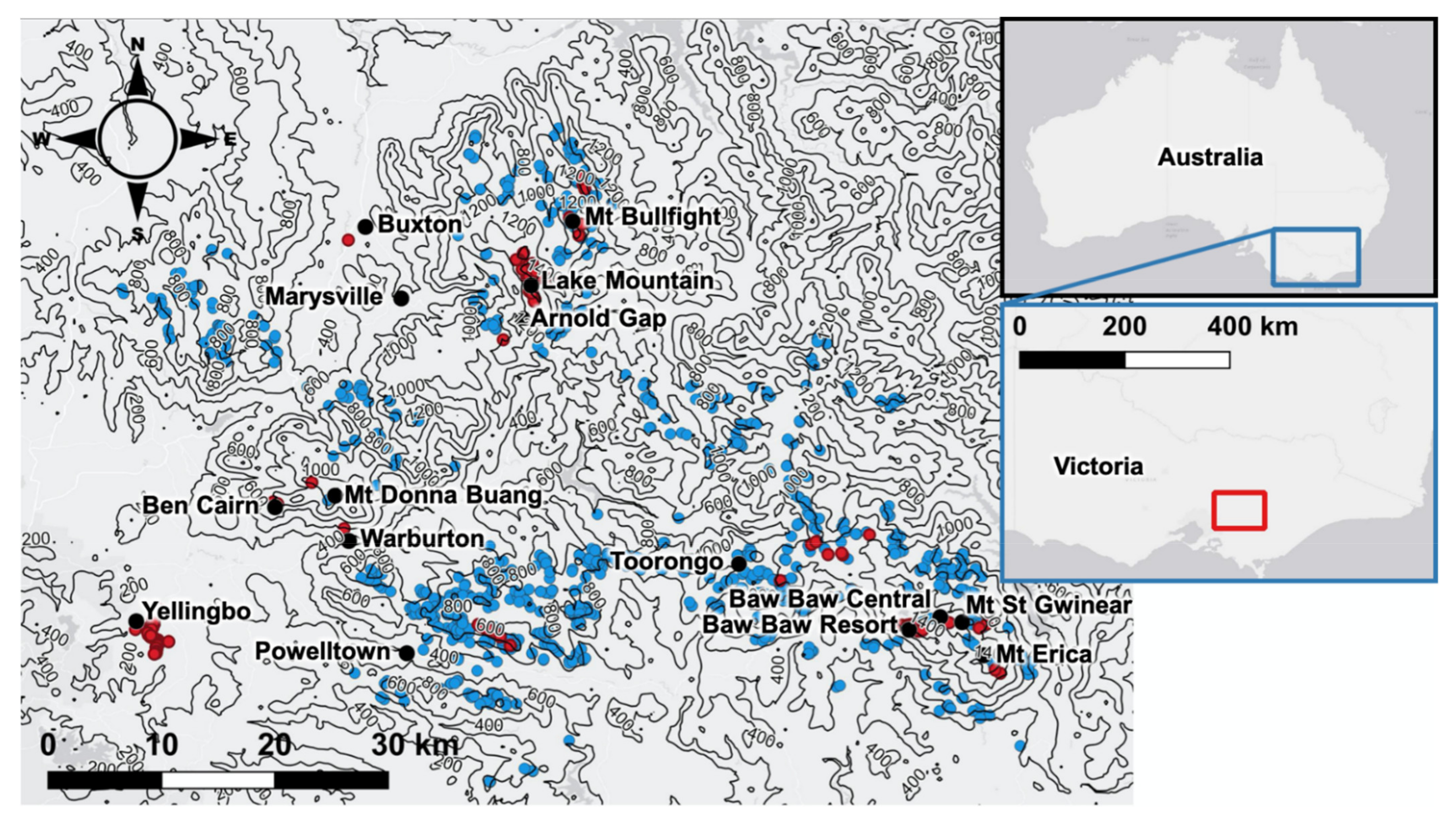 Diversity 13 00382 g001