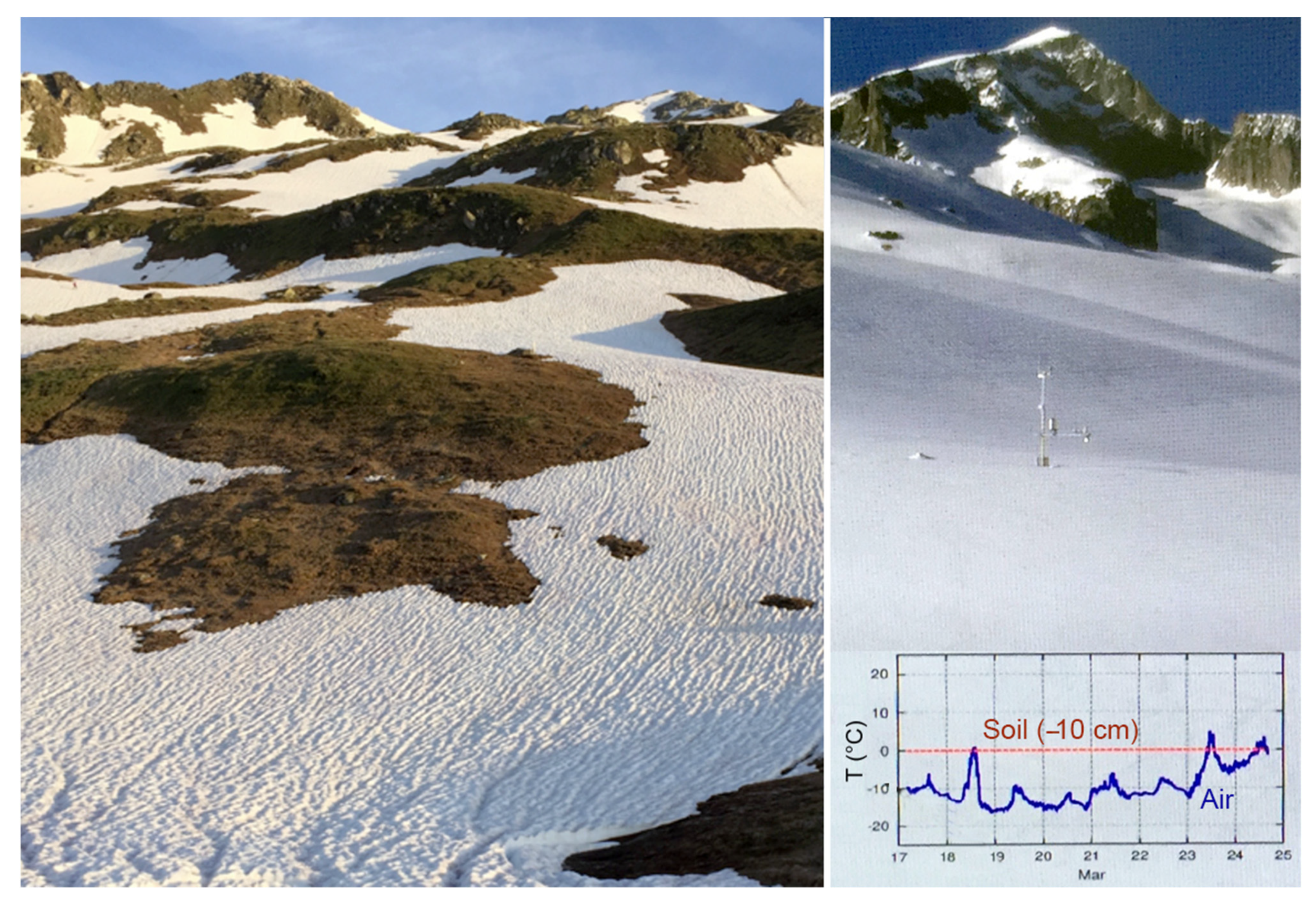 Diversity 13 00383 g002