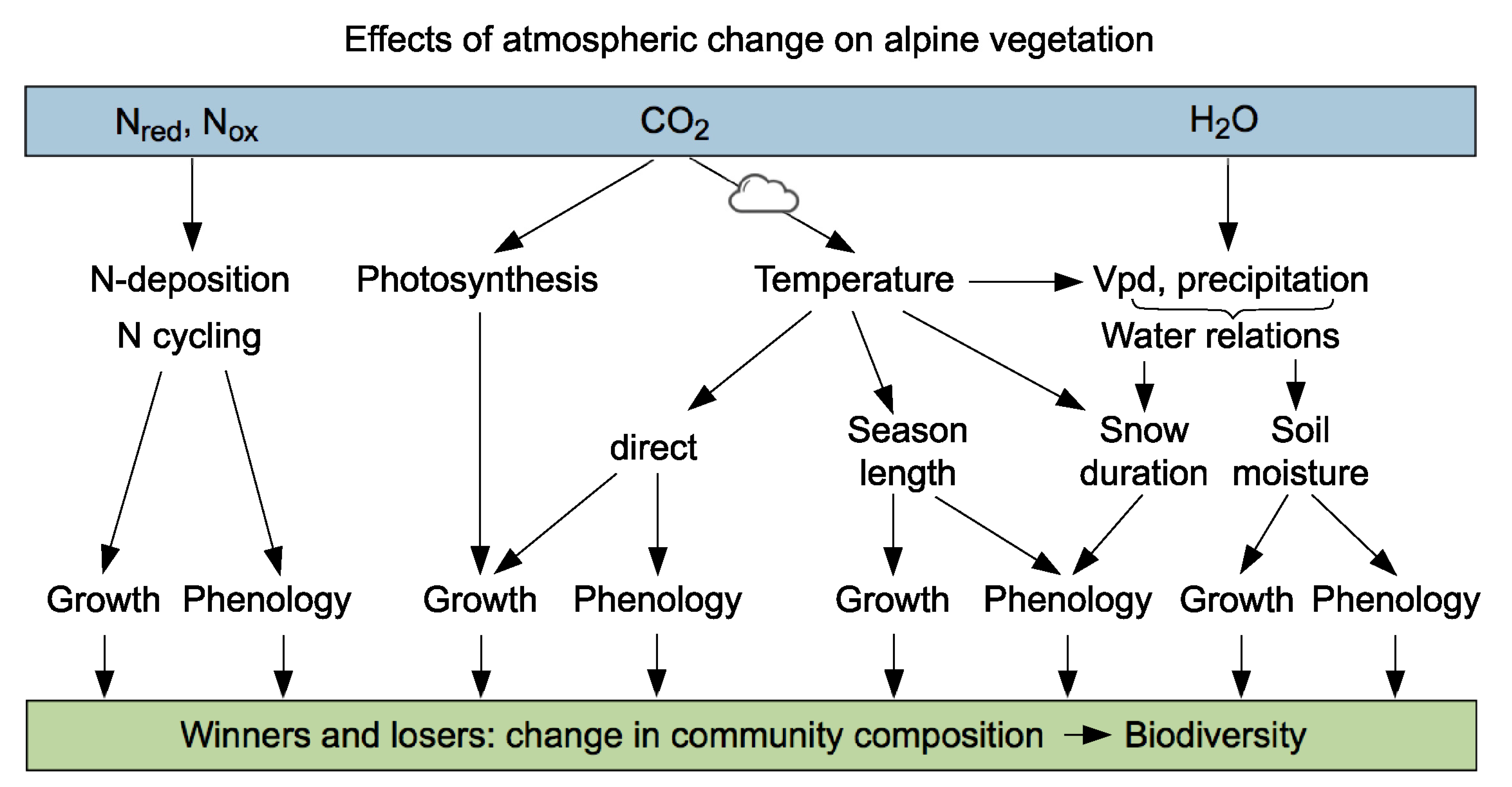 Diversity 13 00383 g004