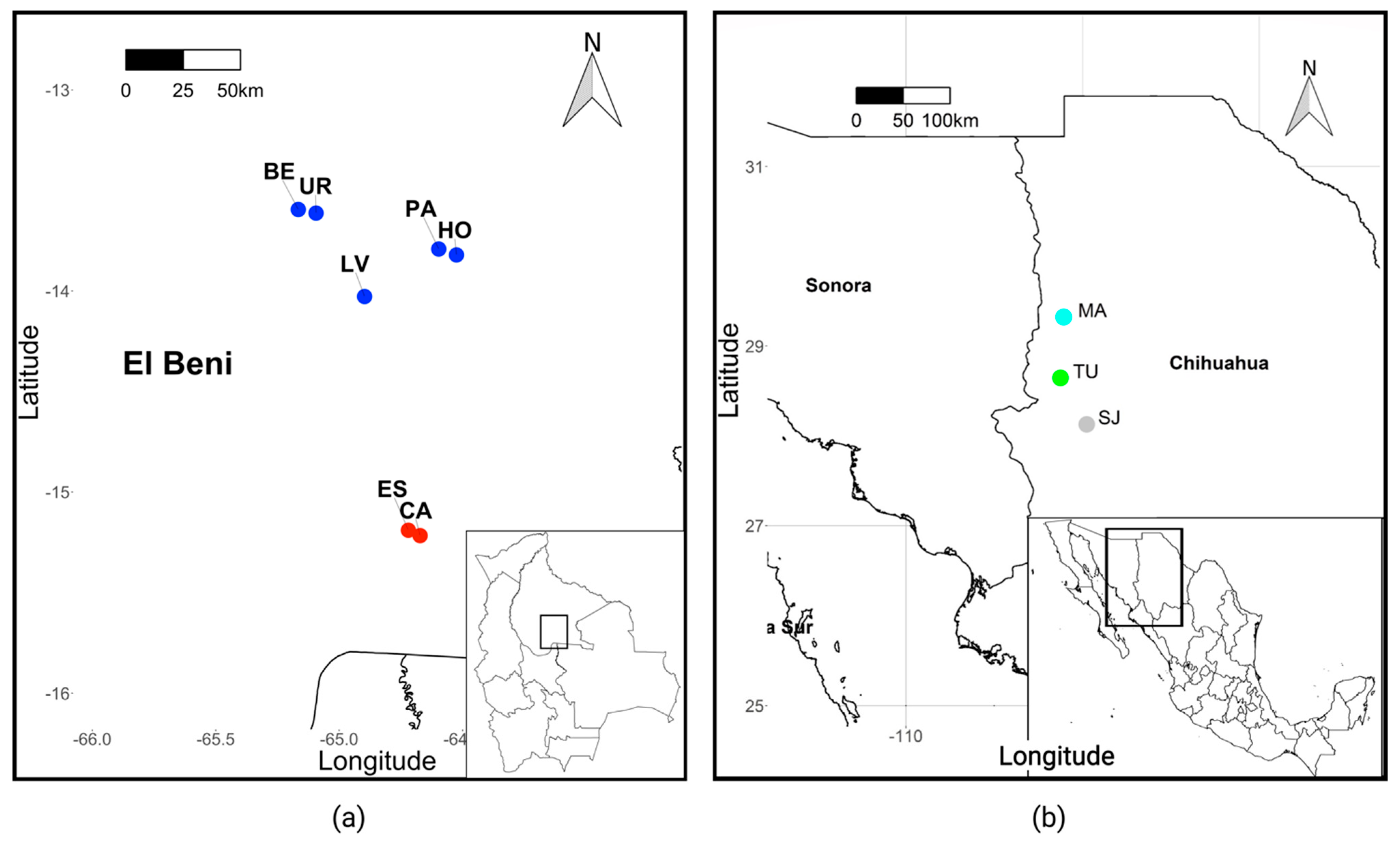 Diversity 13 00386 g001