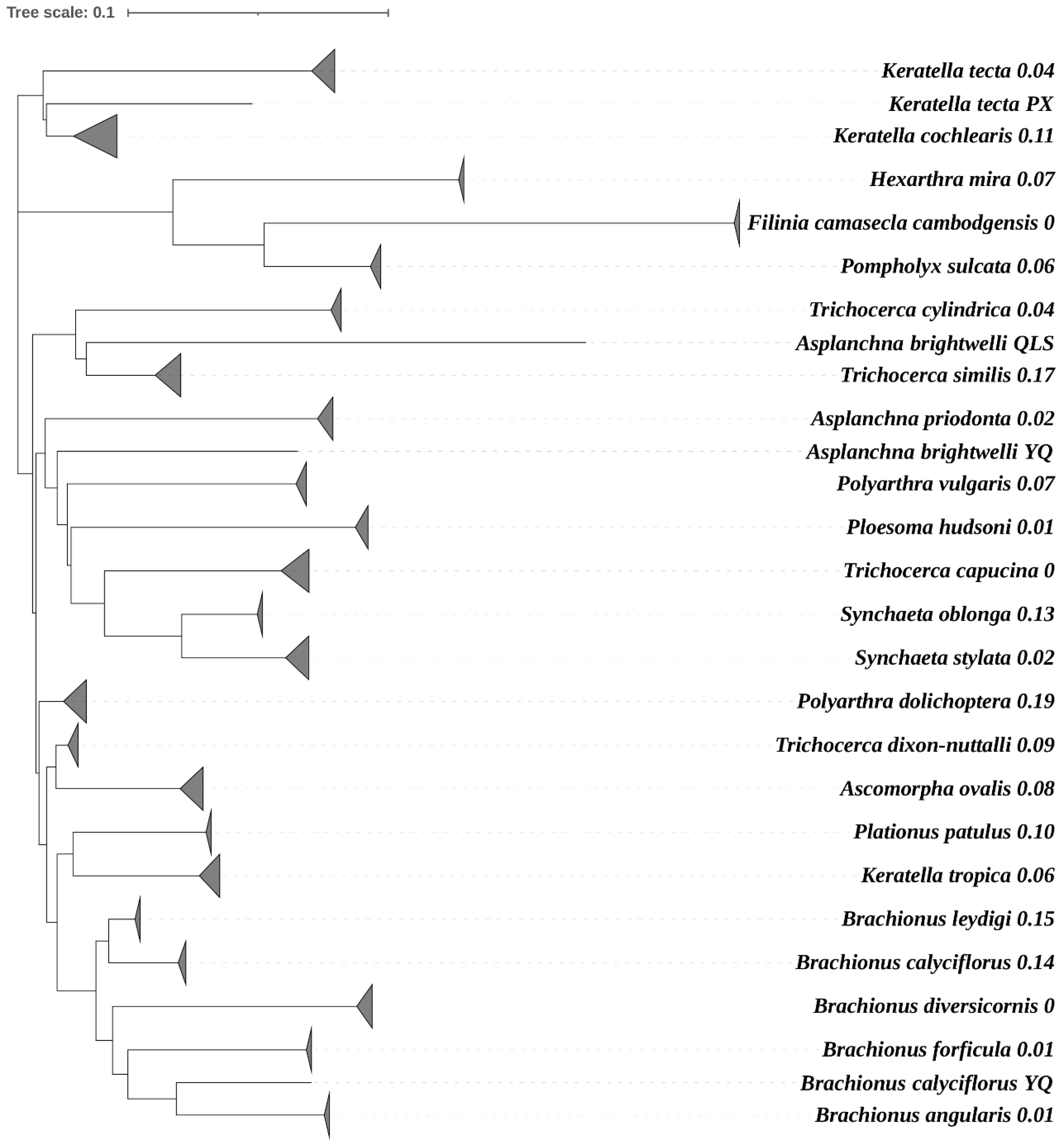 Diversity 13 00390 g004 Diversity 13 00390 g004