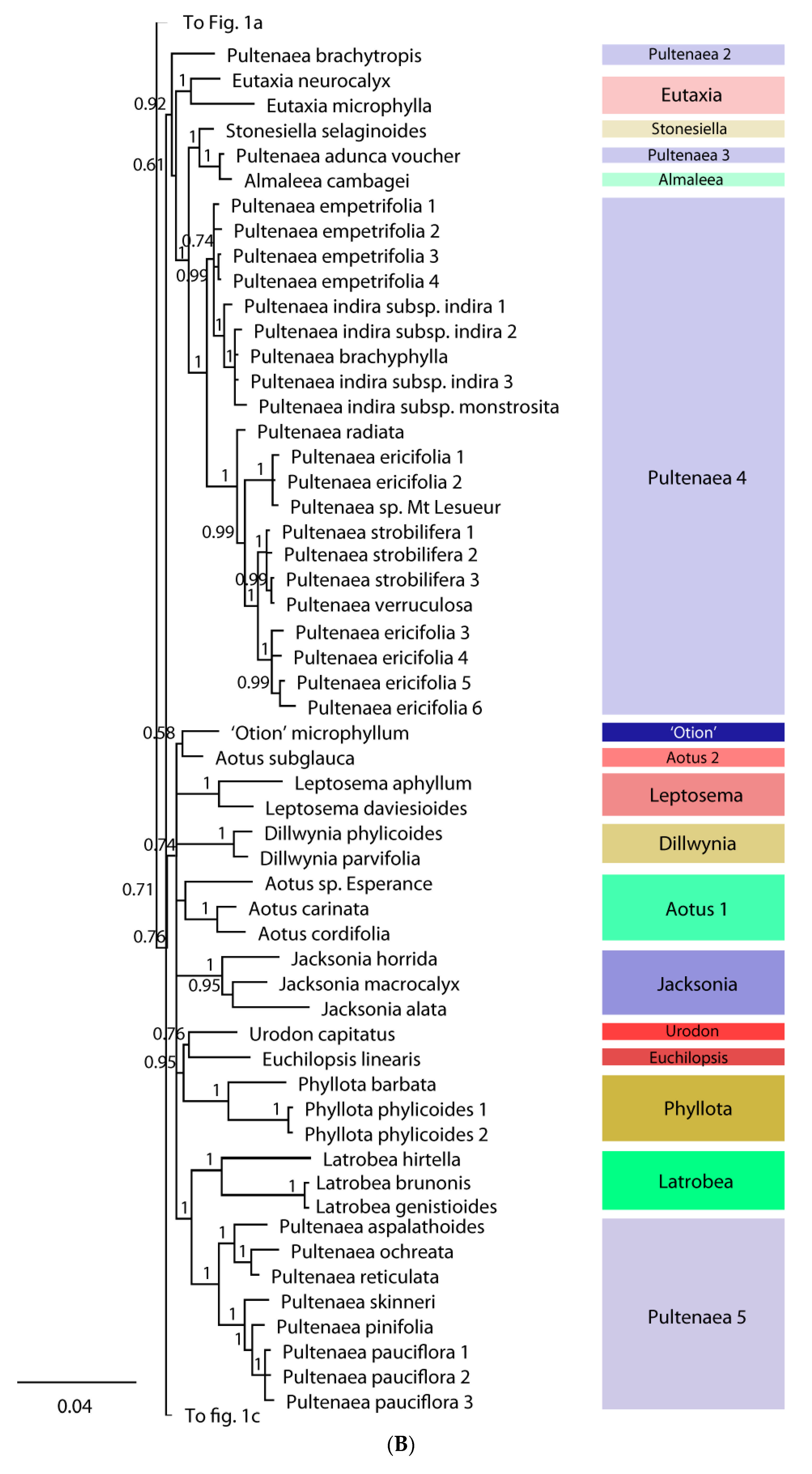Diversity 13 00391 g001b