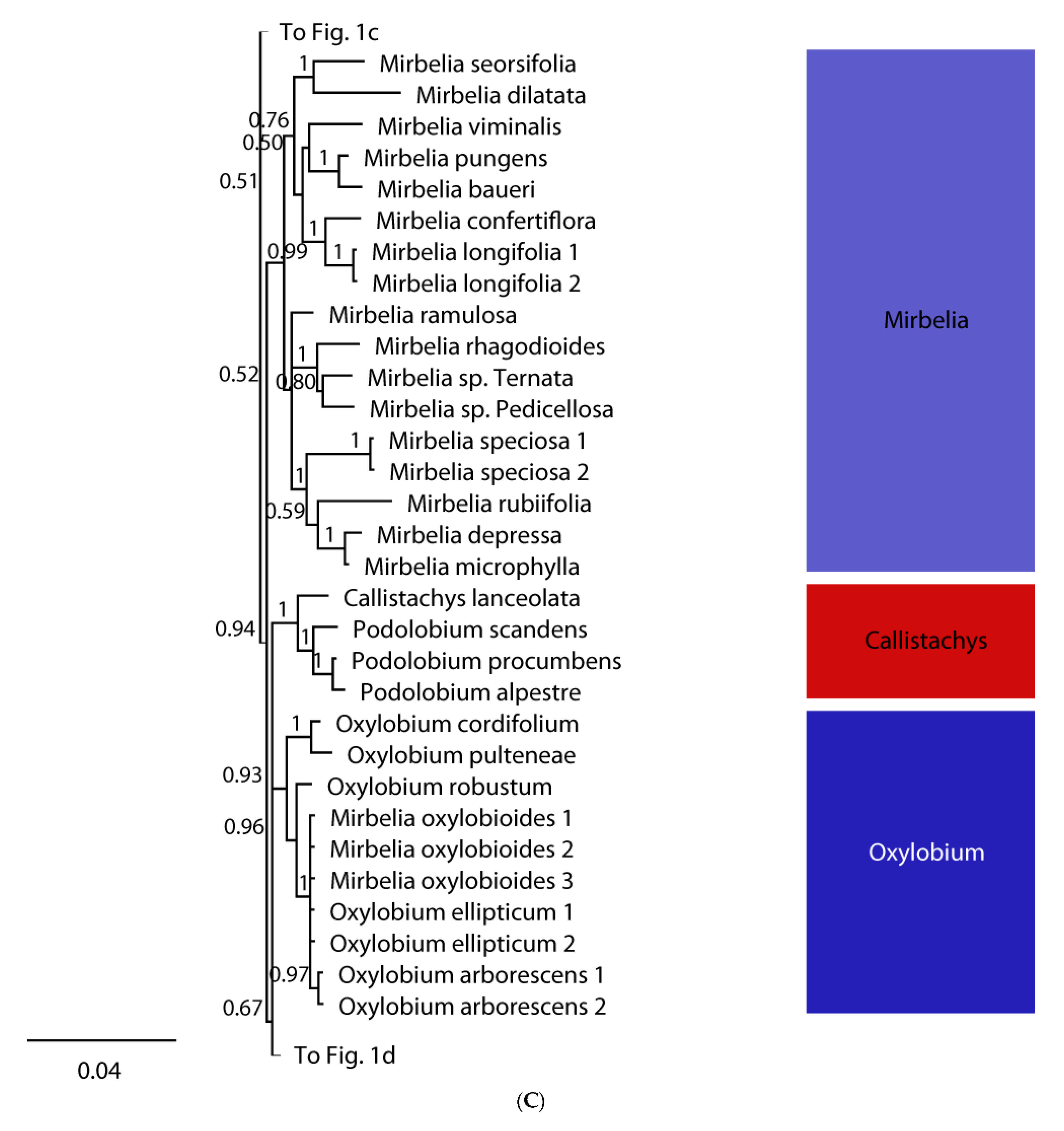 Diversity 13 00391 g001c