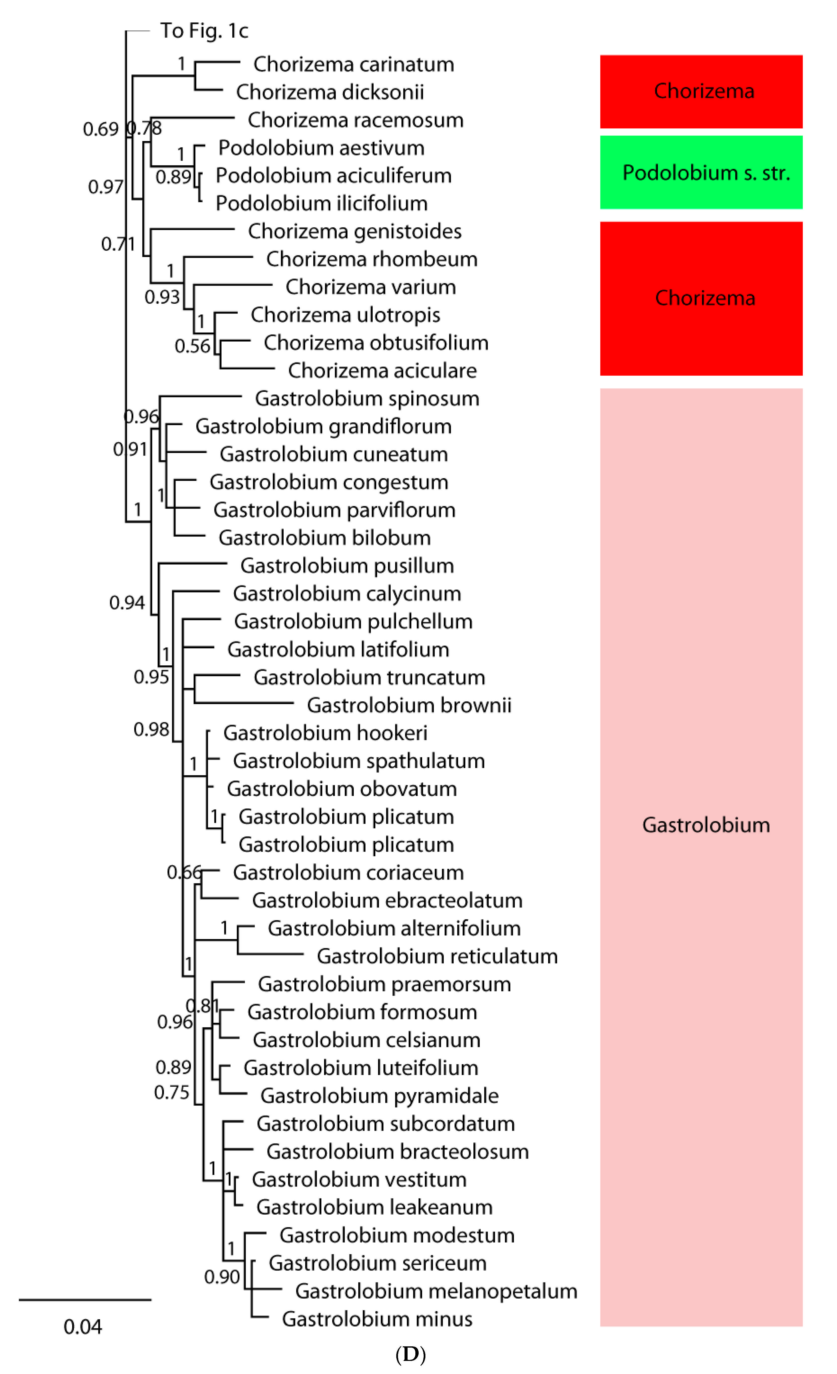 Diversity 13 00391 g001d