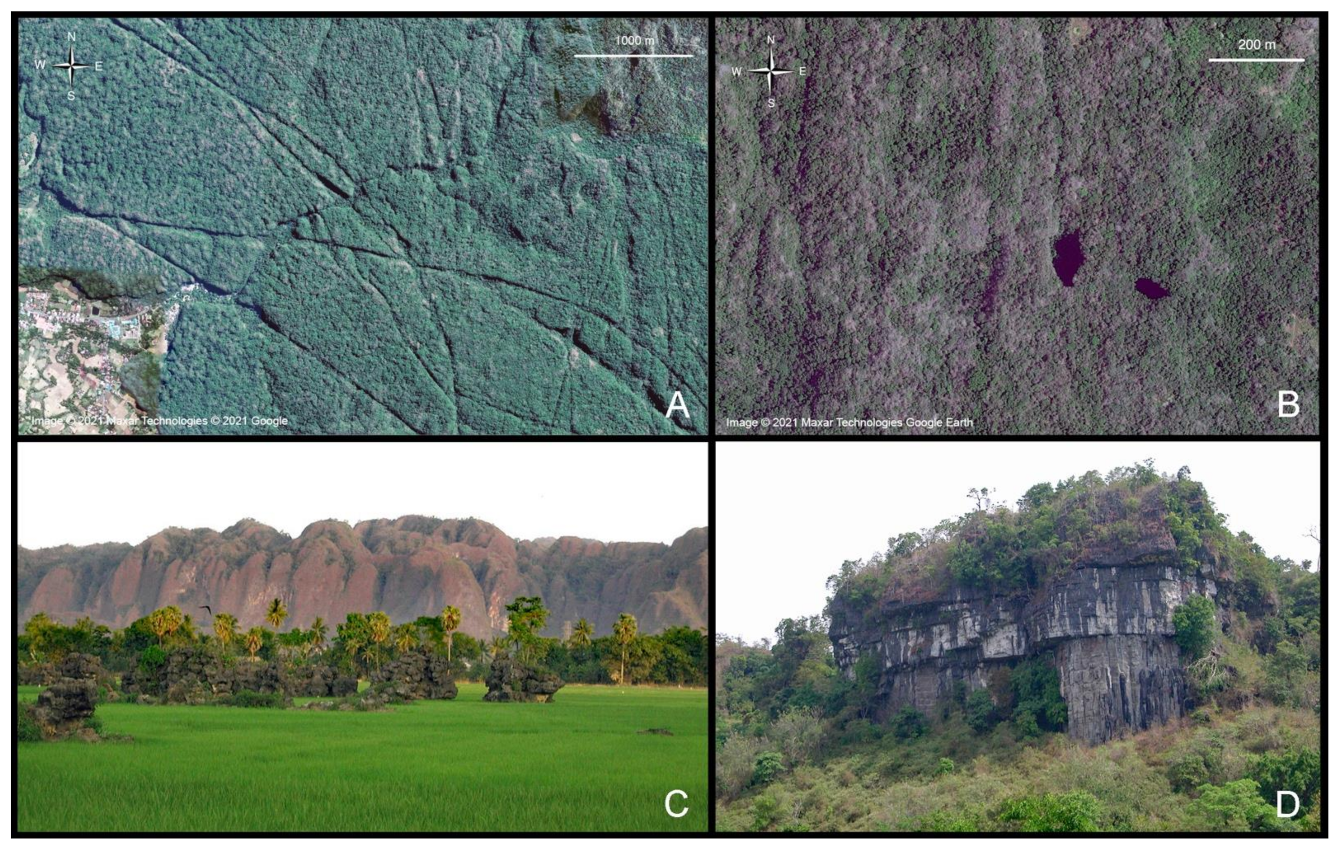 Diversity 13 00392 g001