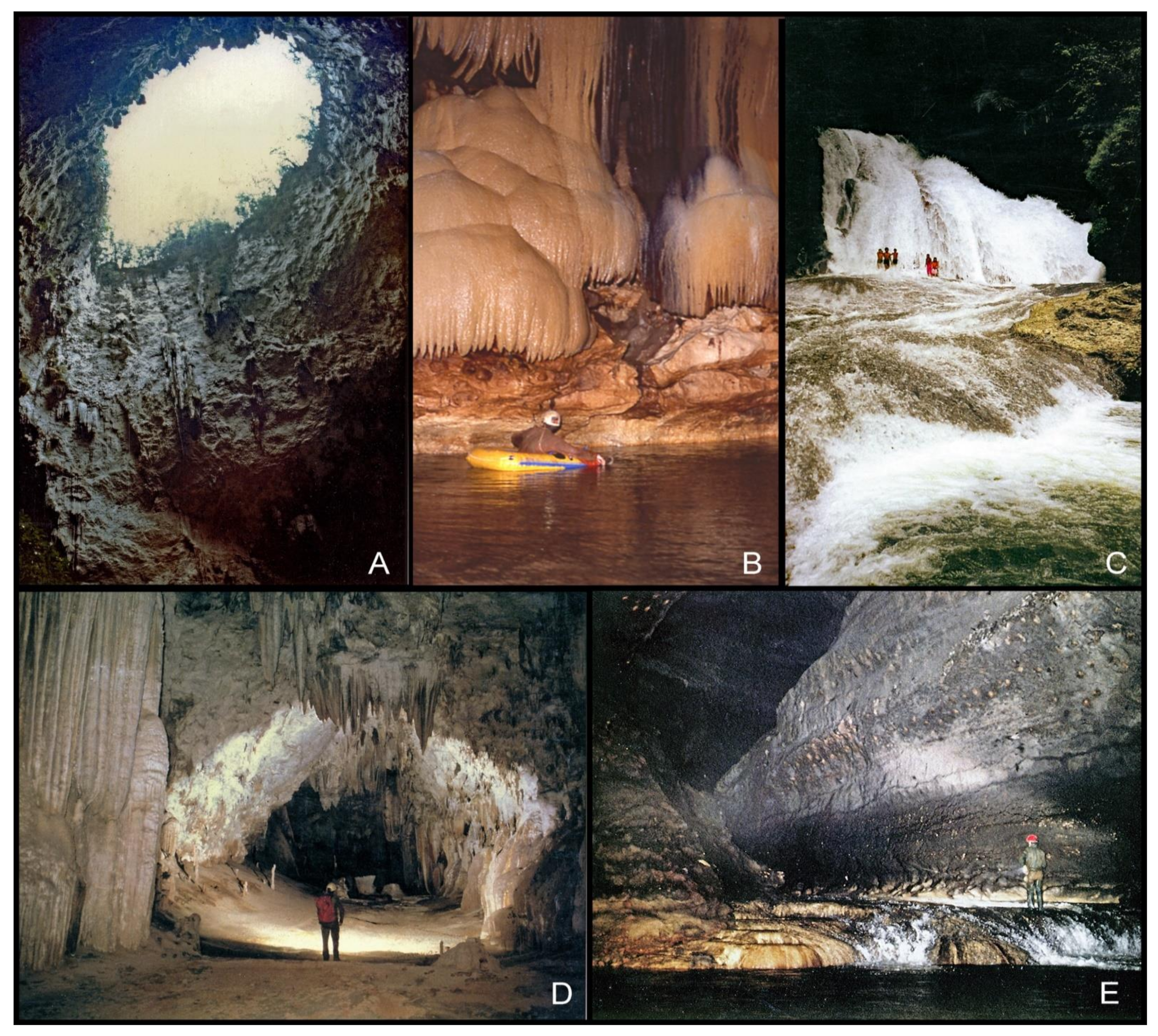 Diversity 13 00392 g002