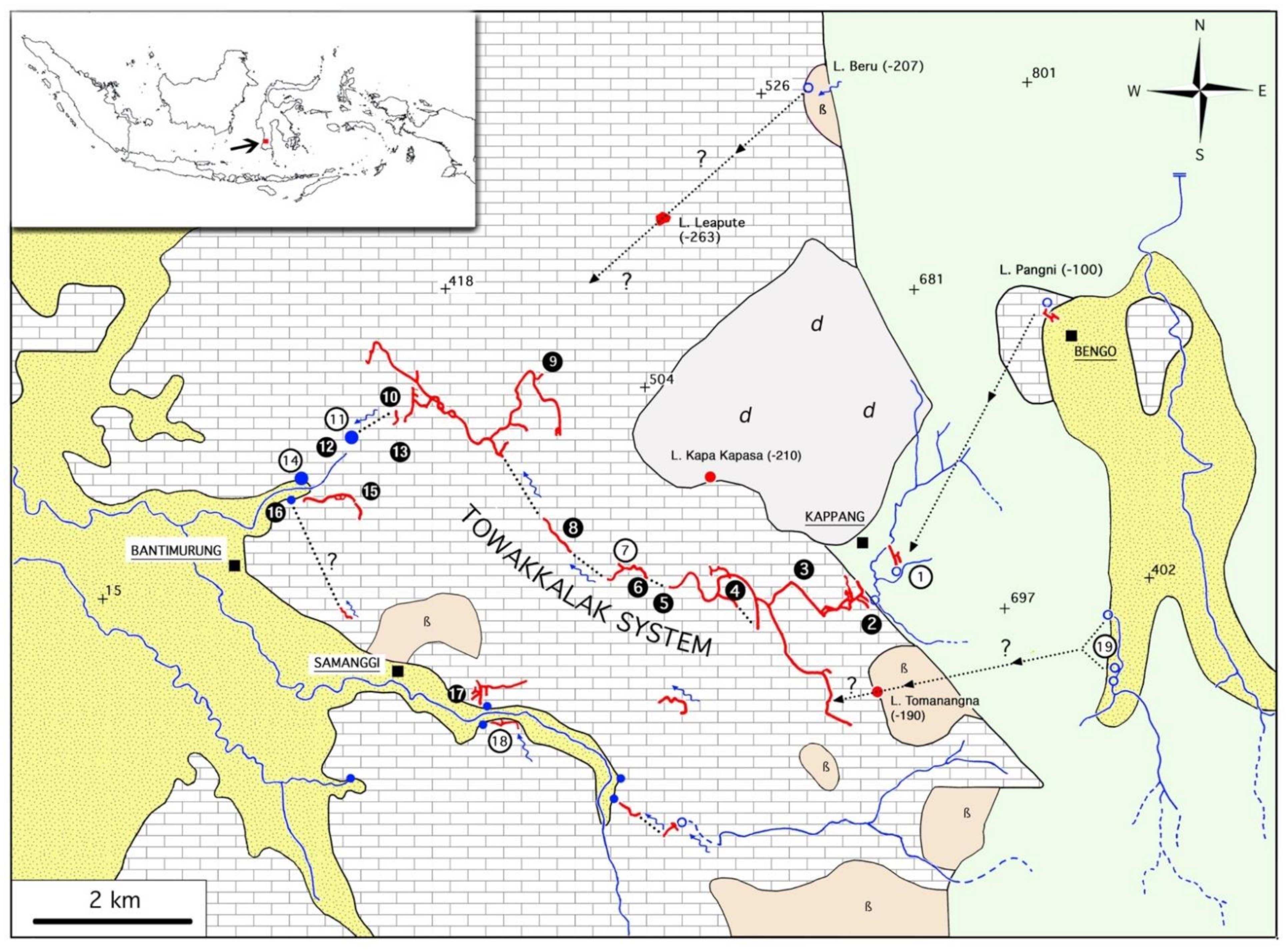 Diversity 13 00392 g003