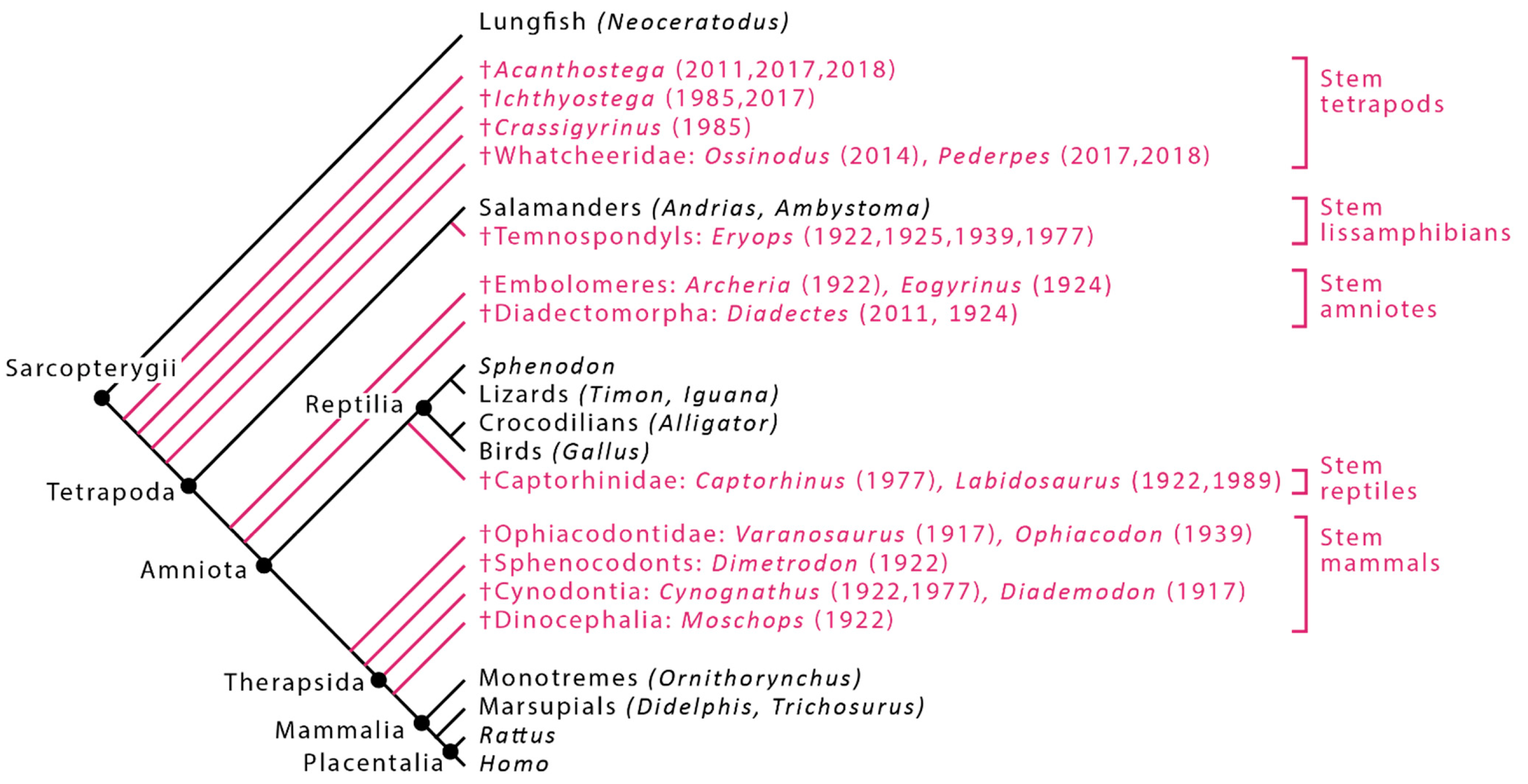 Diversity 13 00393 g001