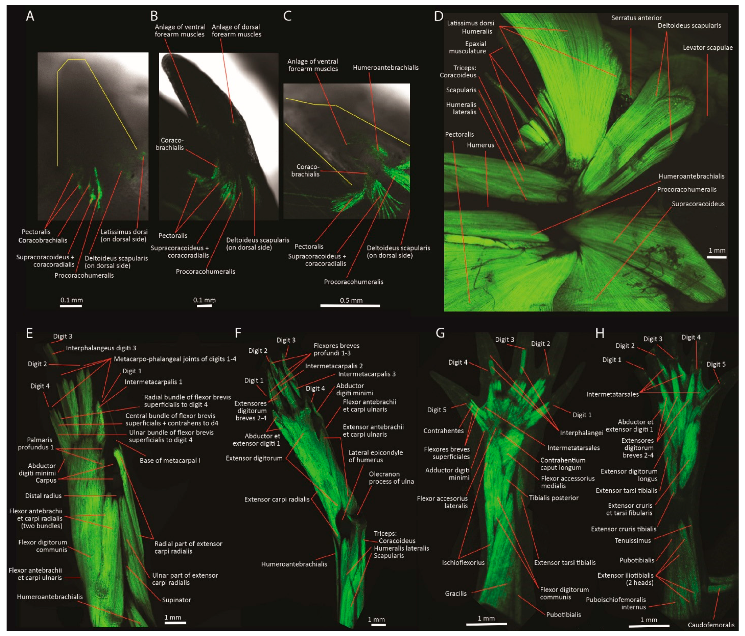 Diversity 13 00393 g003