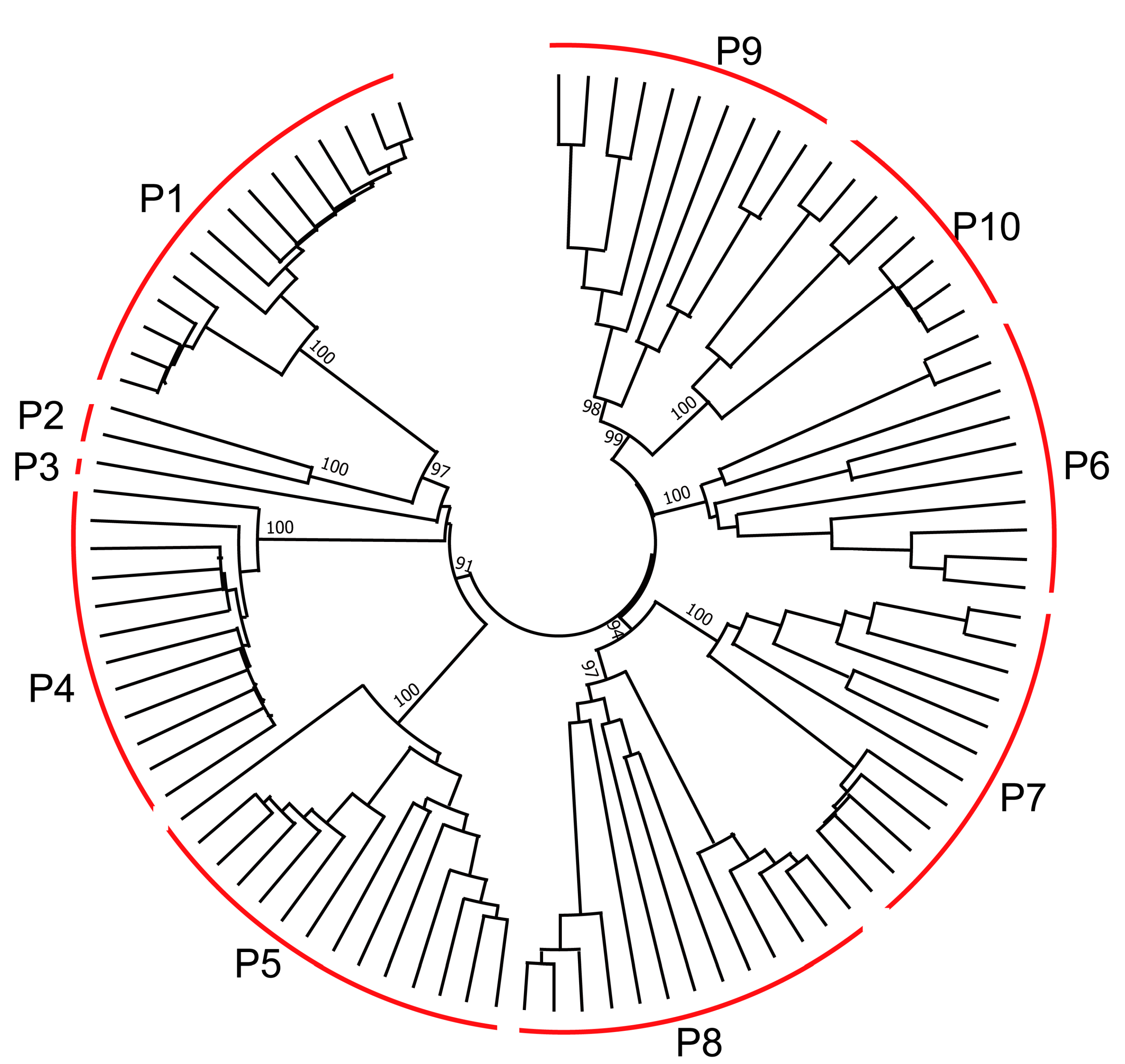 Diversity 13 00397 g003