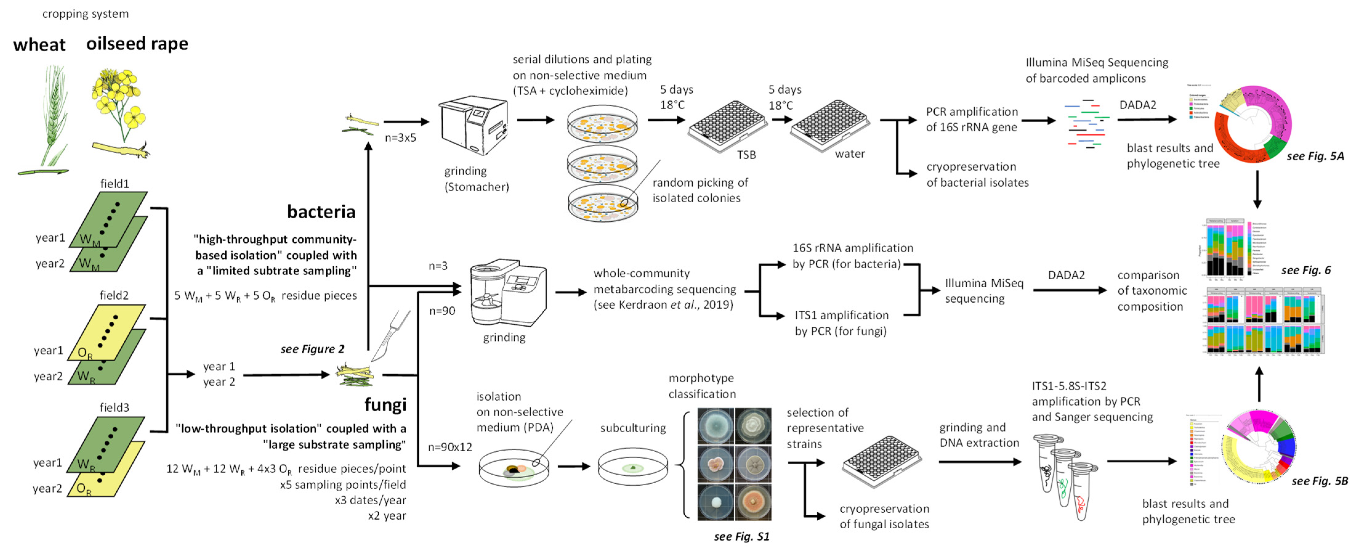 Diversity 13 00404 g002 Diversity 13 00404 g002