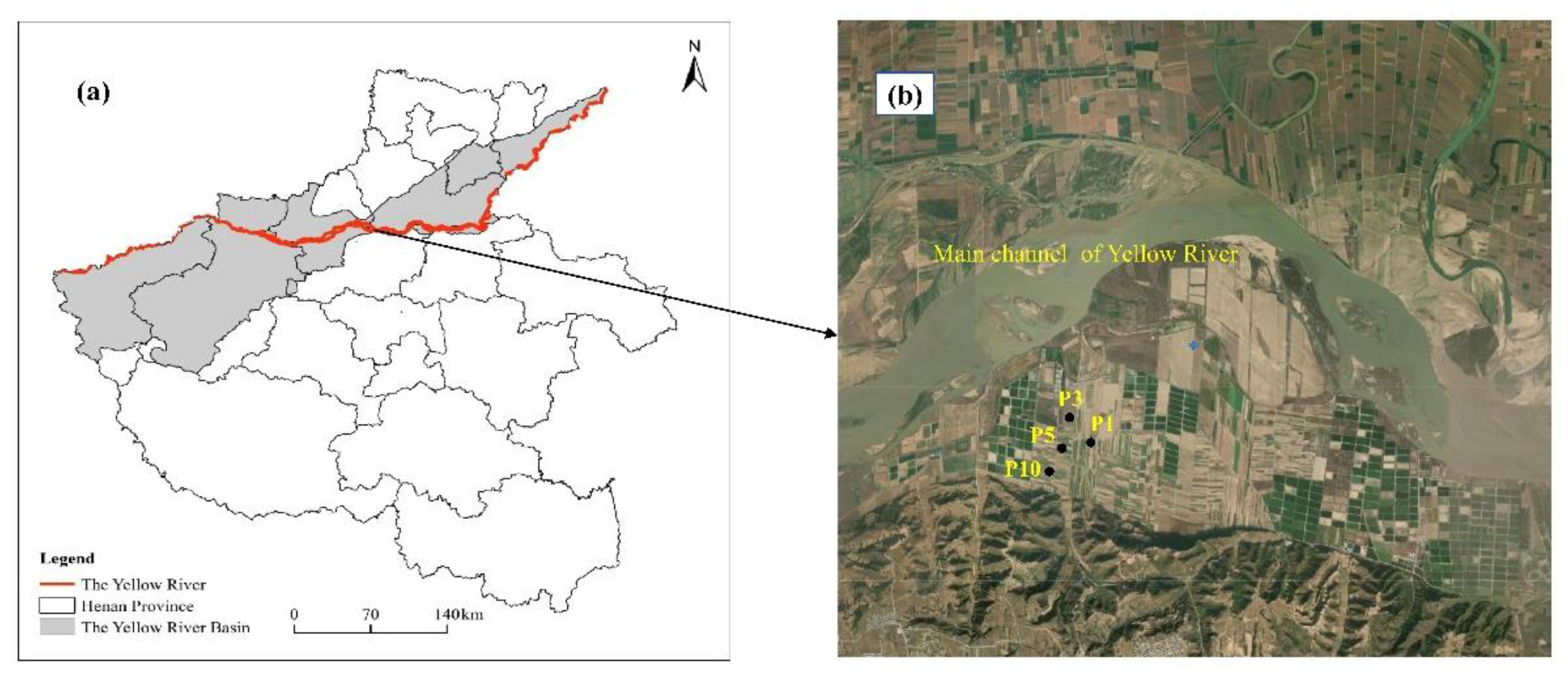 Diversity 13 00408 g001