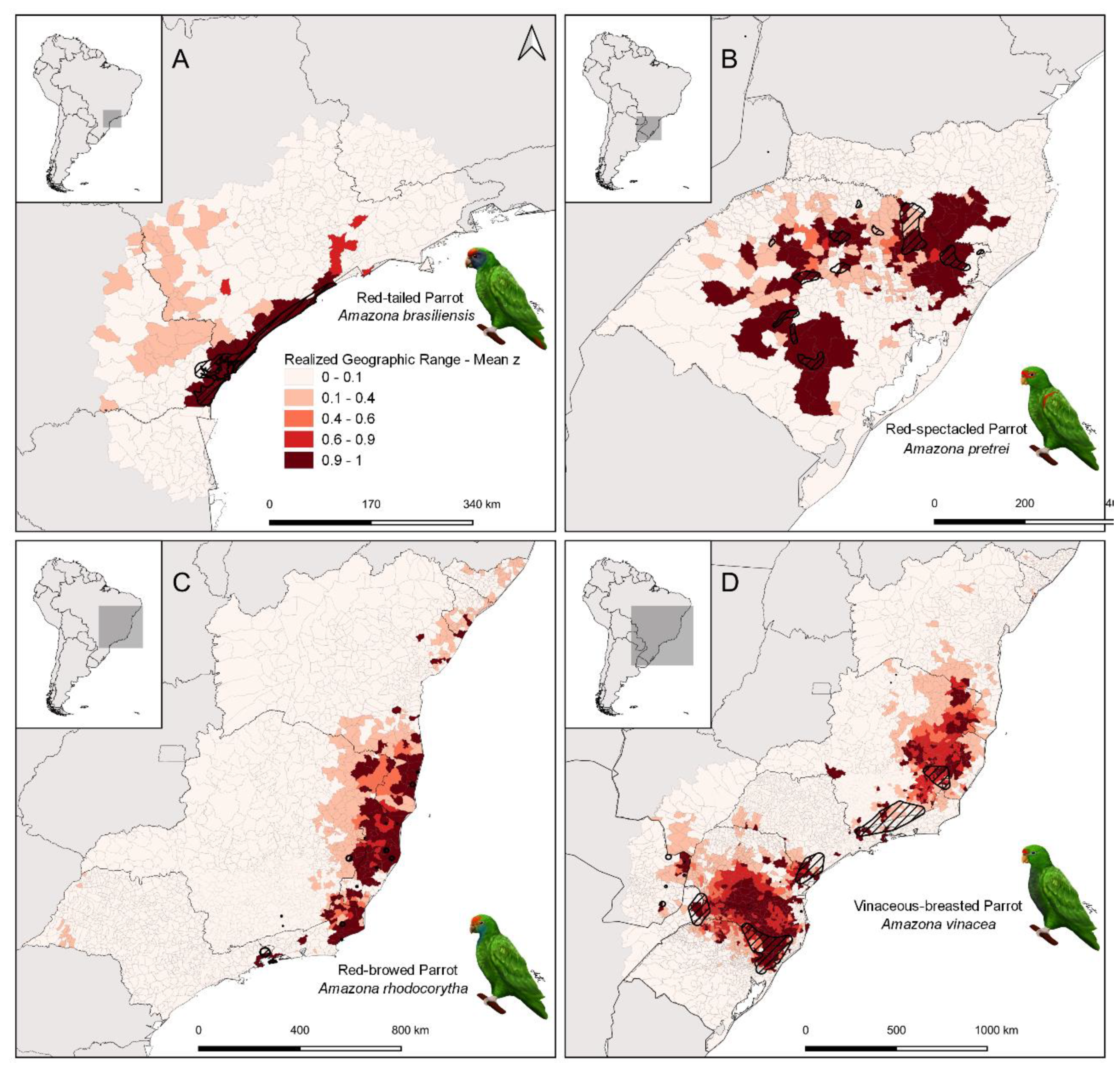 Diversity 13 00416 g001 Diversity 13 00416 g001