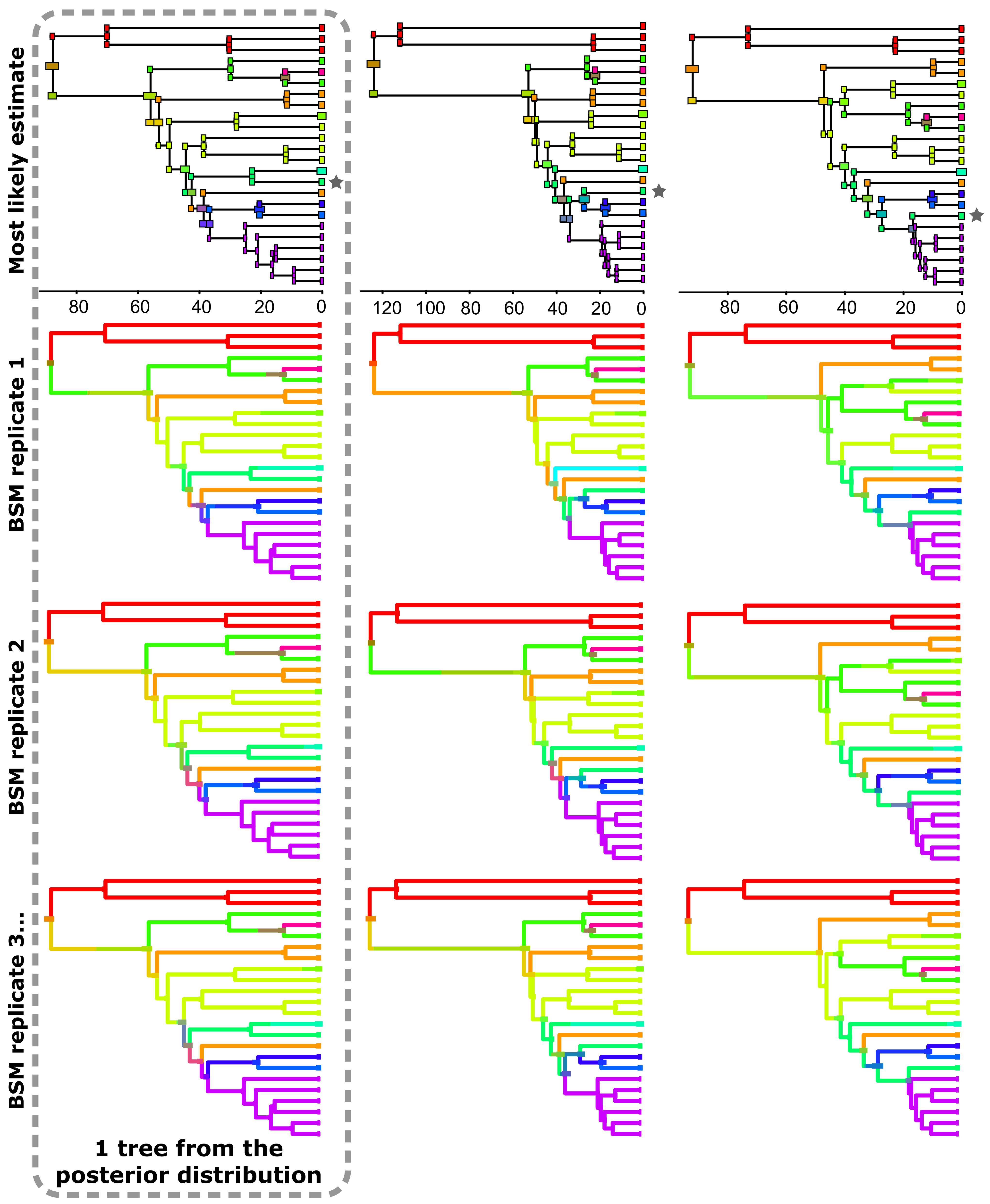 Diversity 13 00418 g001