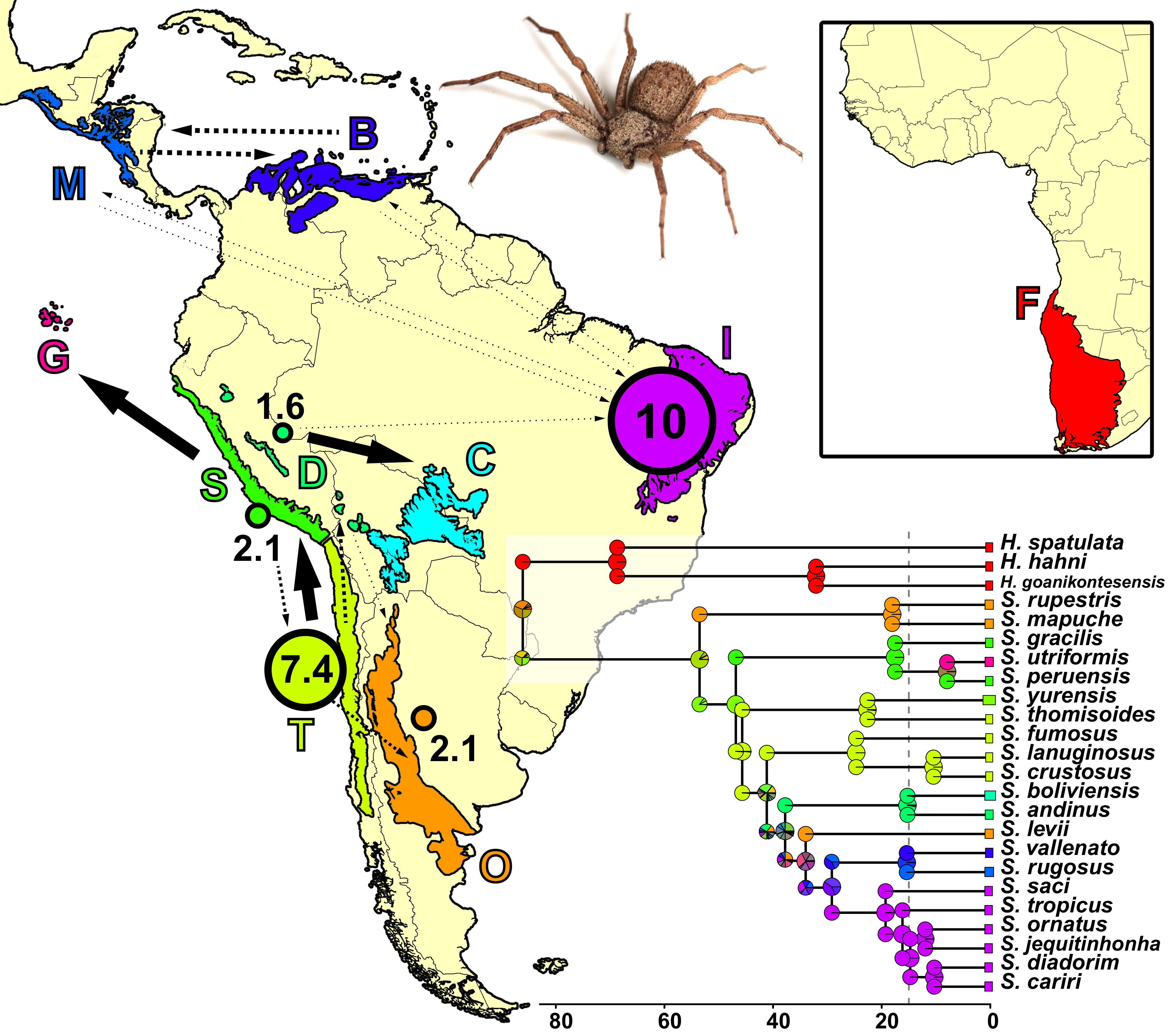 Diversity 13 00418 g002