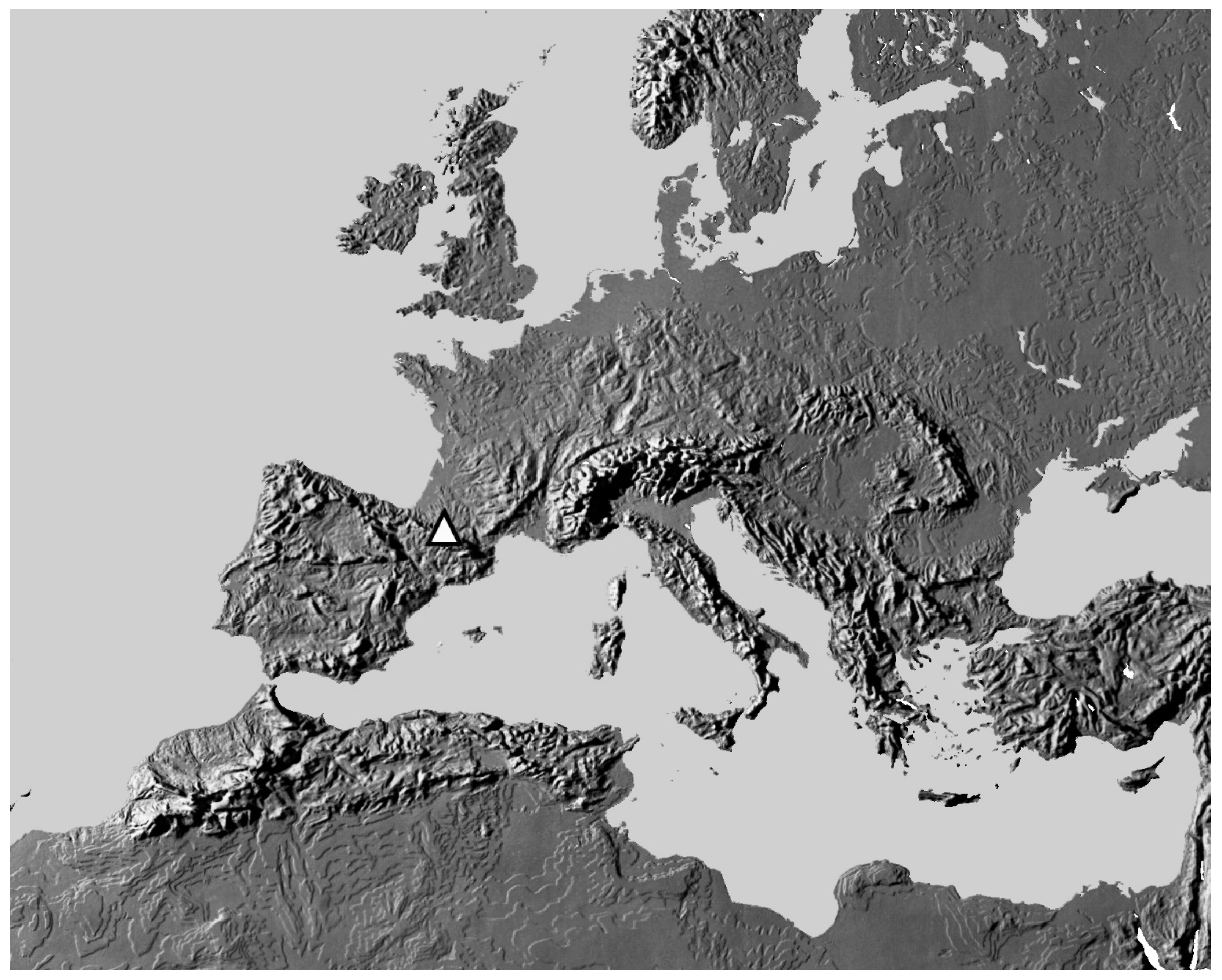 Diversity 13 00419 g001