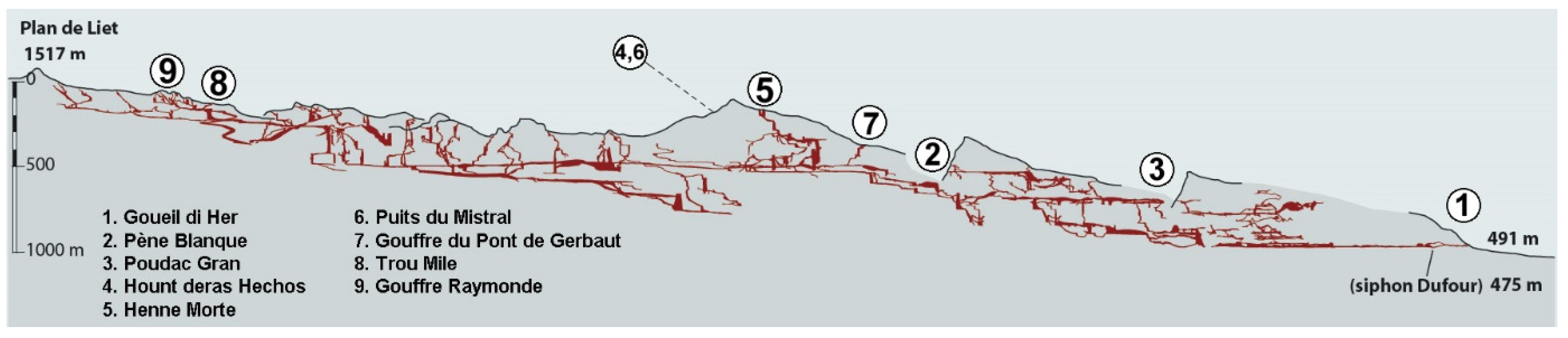 Diversity 13 00419 g003