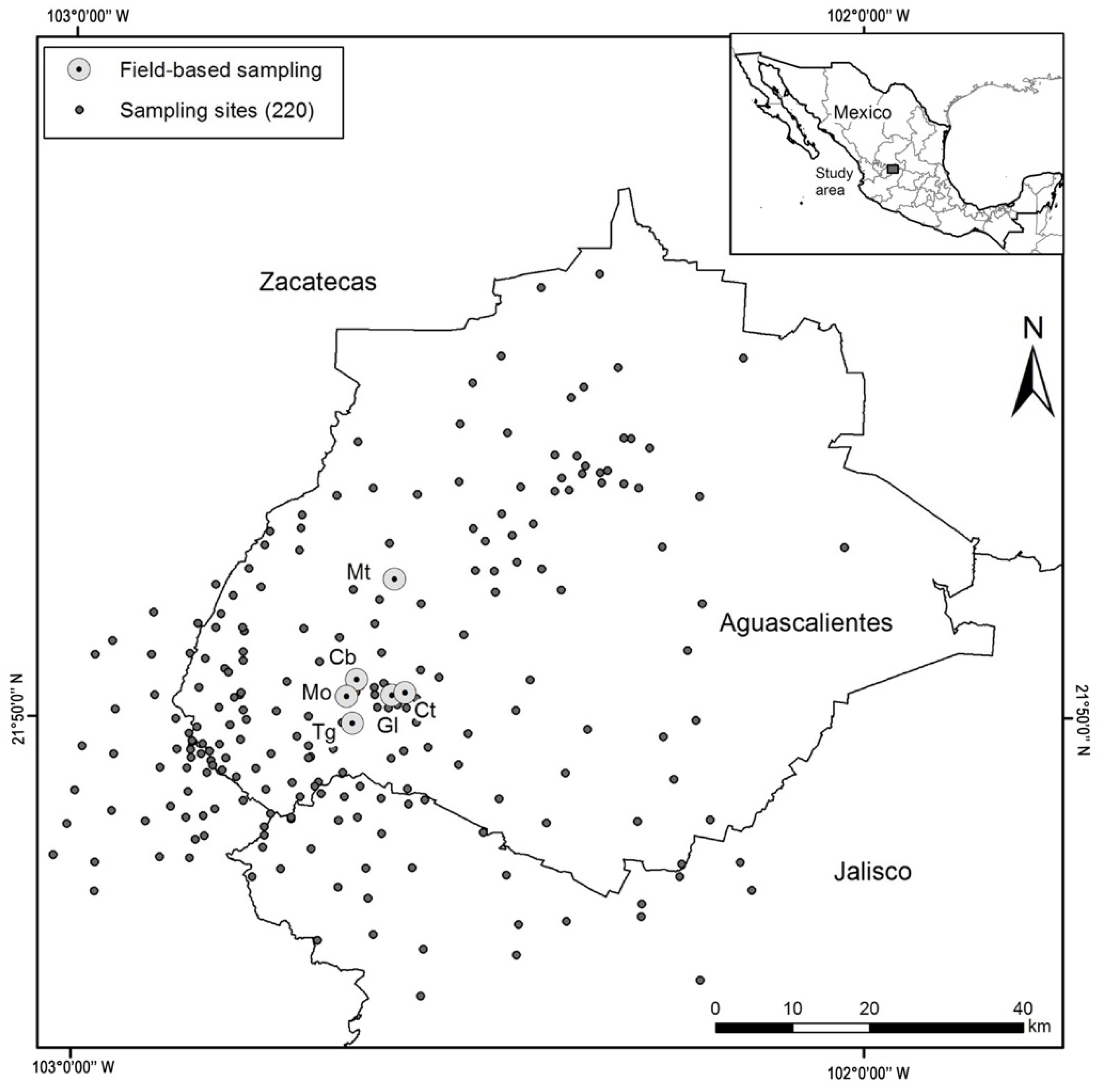 Diversity 13 00421 g001