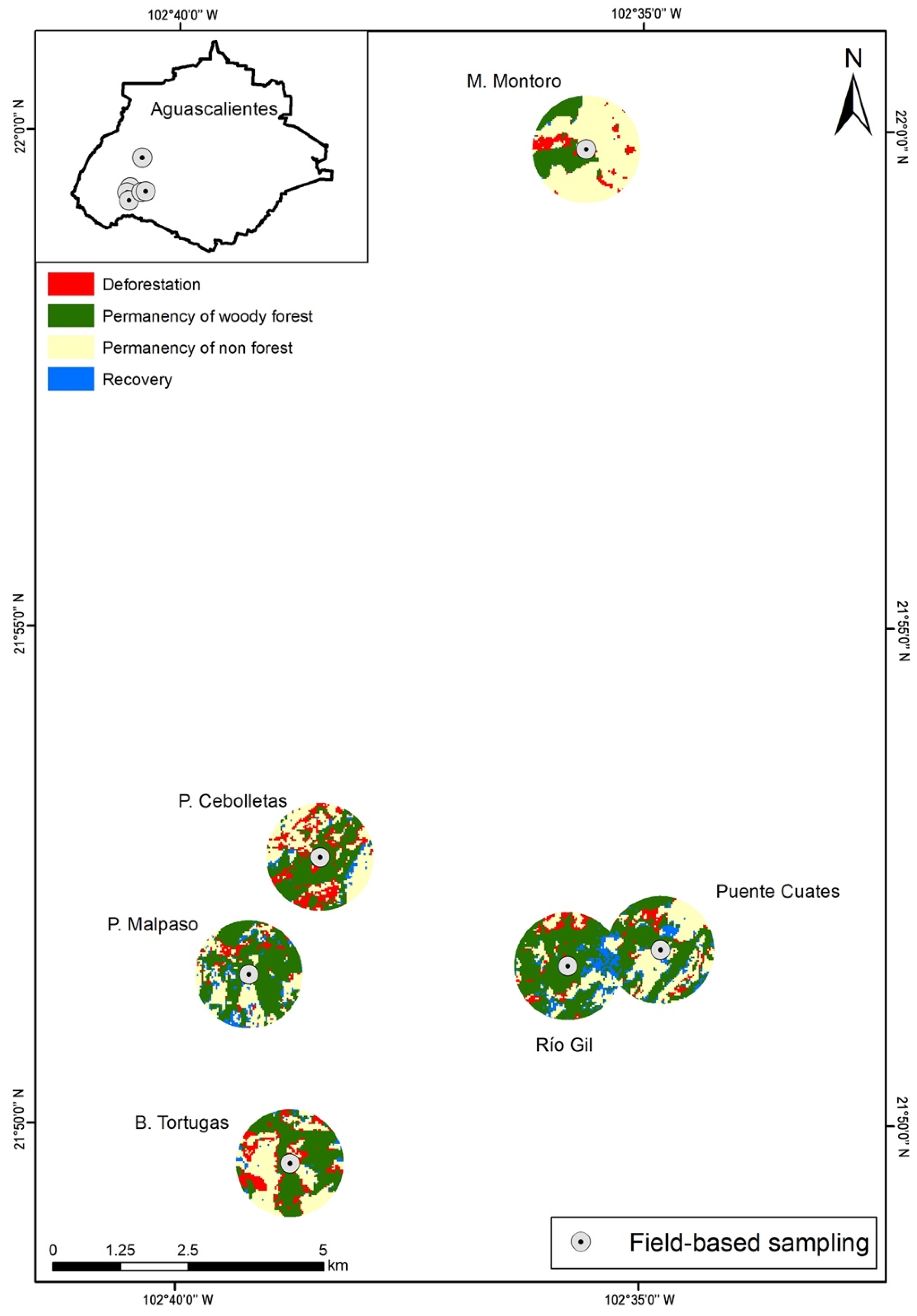 Diversity 13 00421 g002